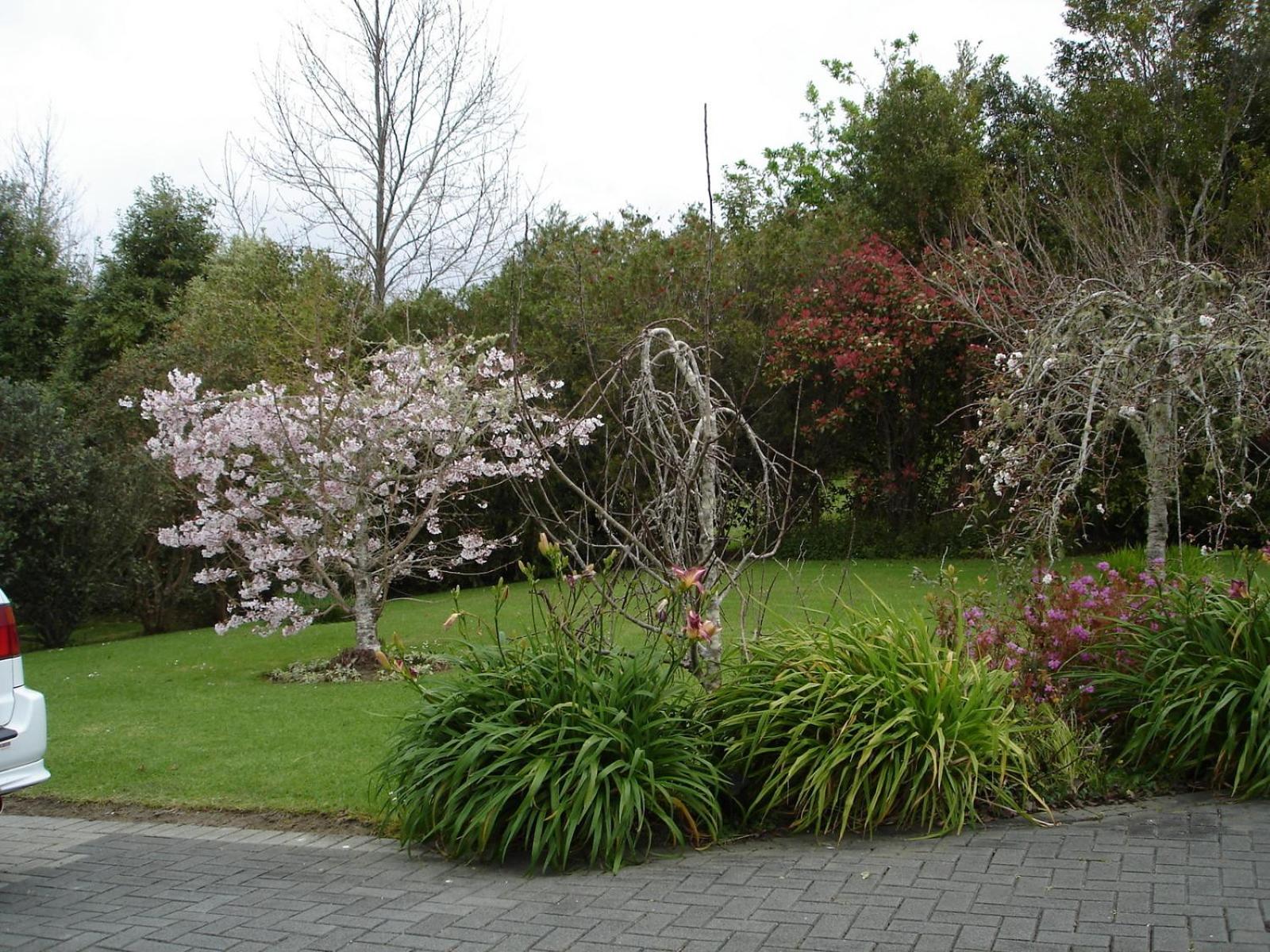 Photo 45