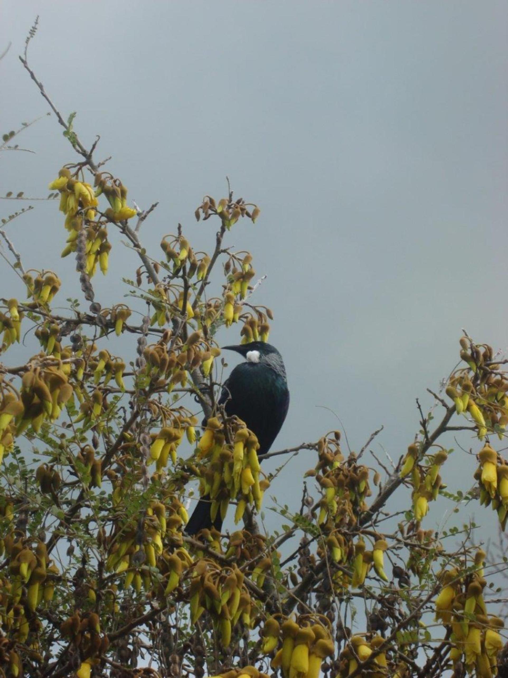Photo 40