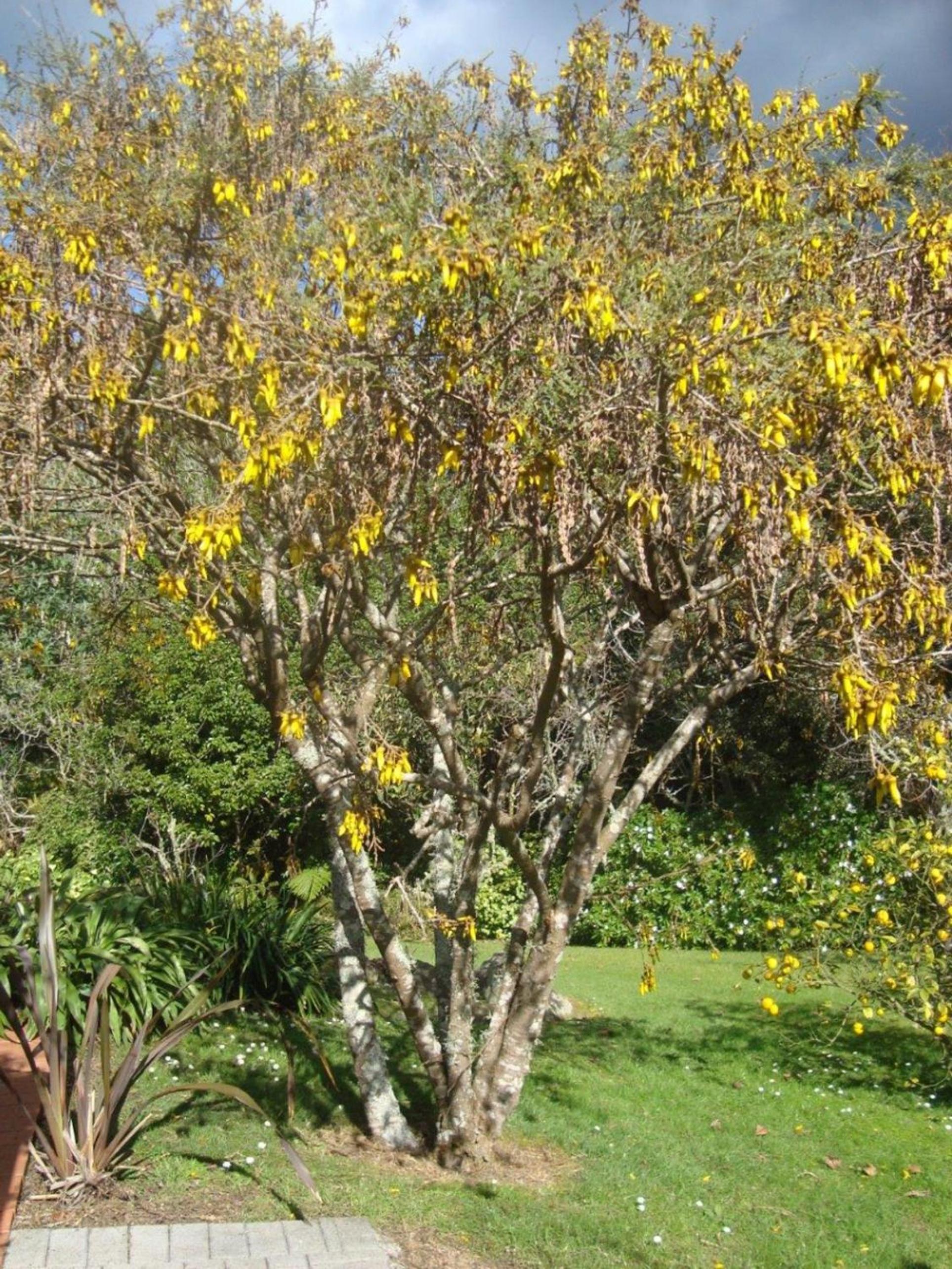 Photo 41