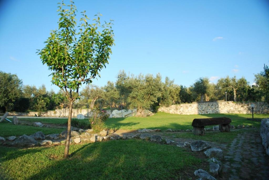 DantePino en Tocco da Casauria