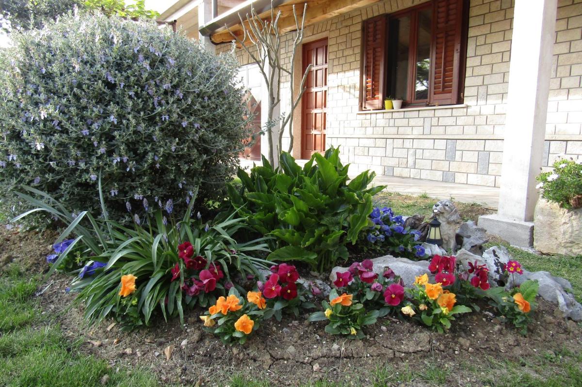 Photo 23