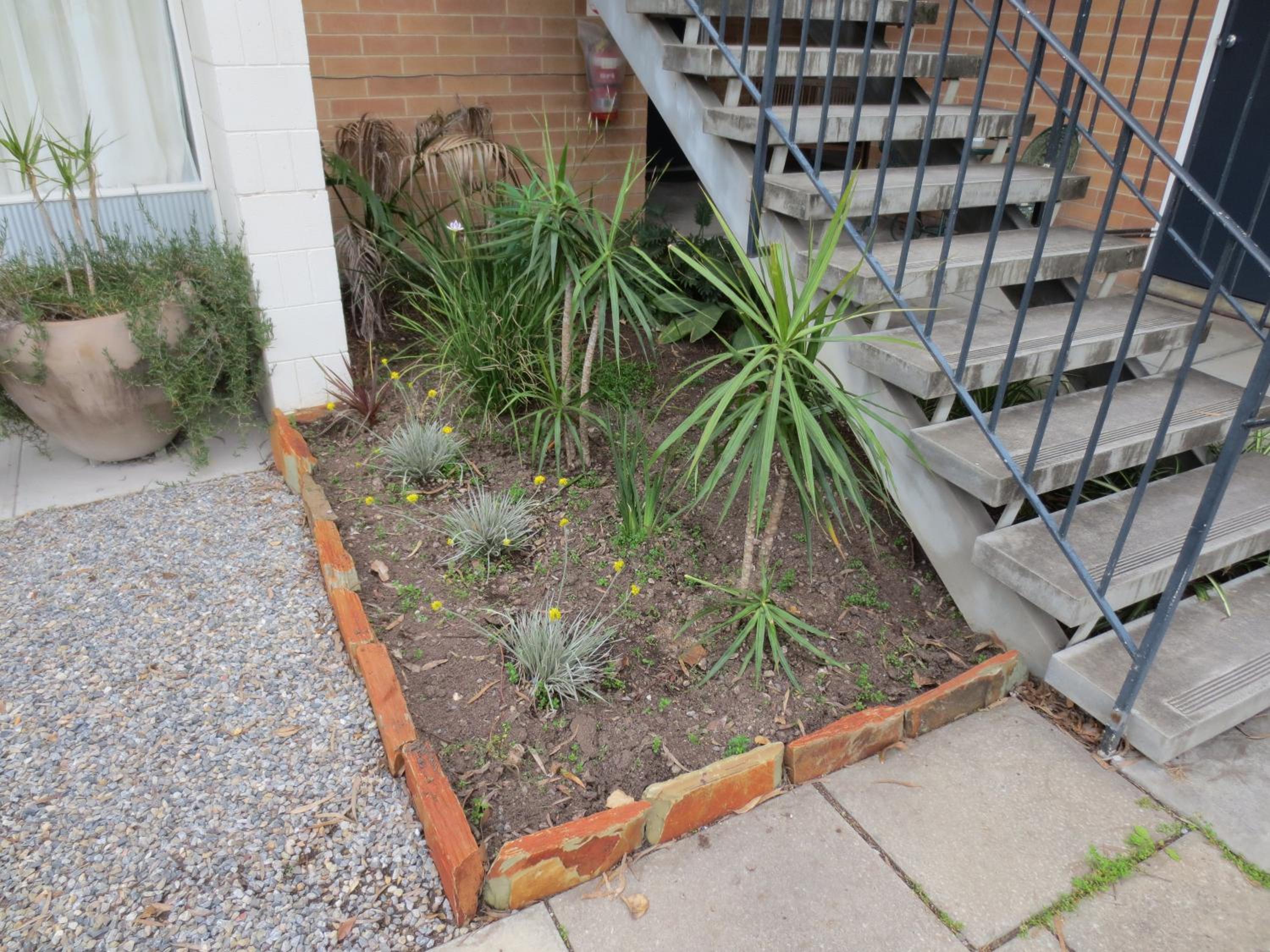 Photo 27