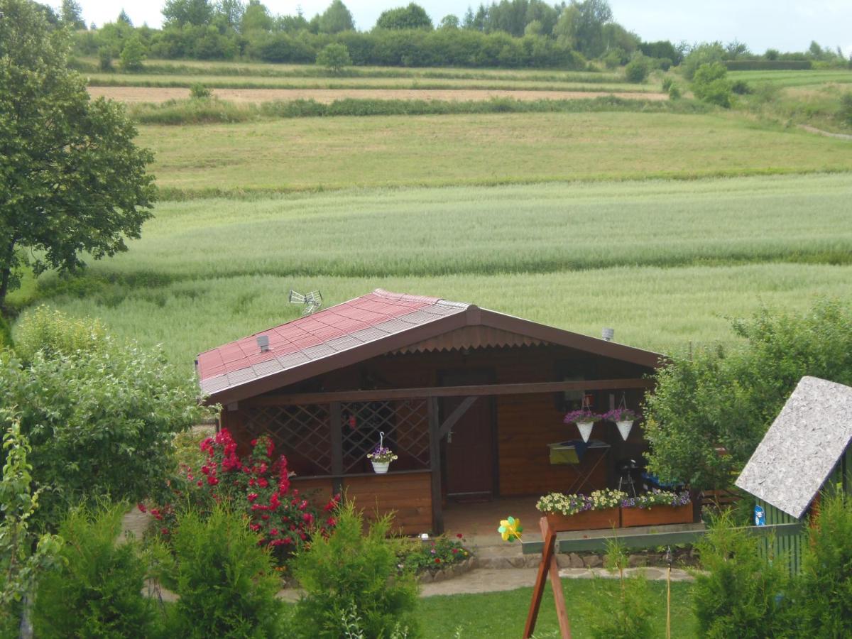 Majowy Domek view 5