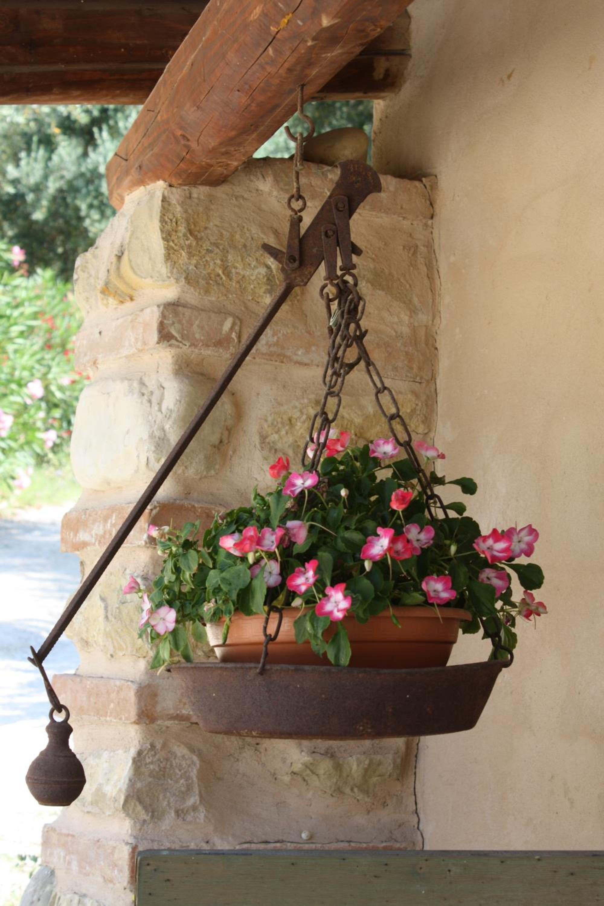 Agriturismo i Cigni view 5