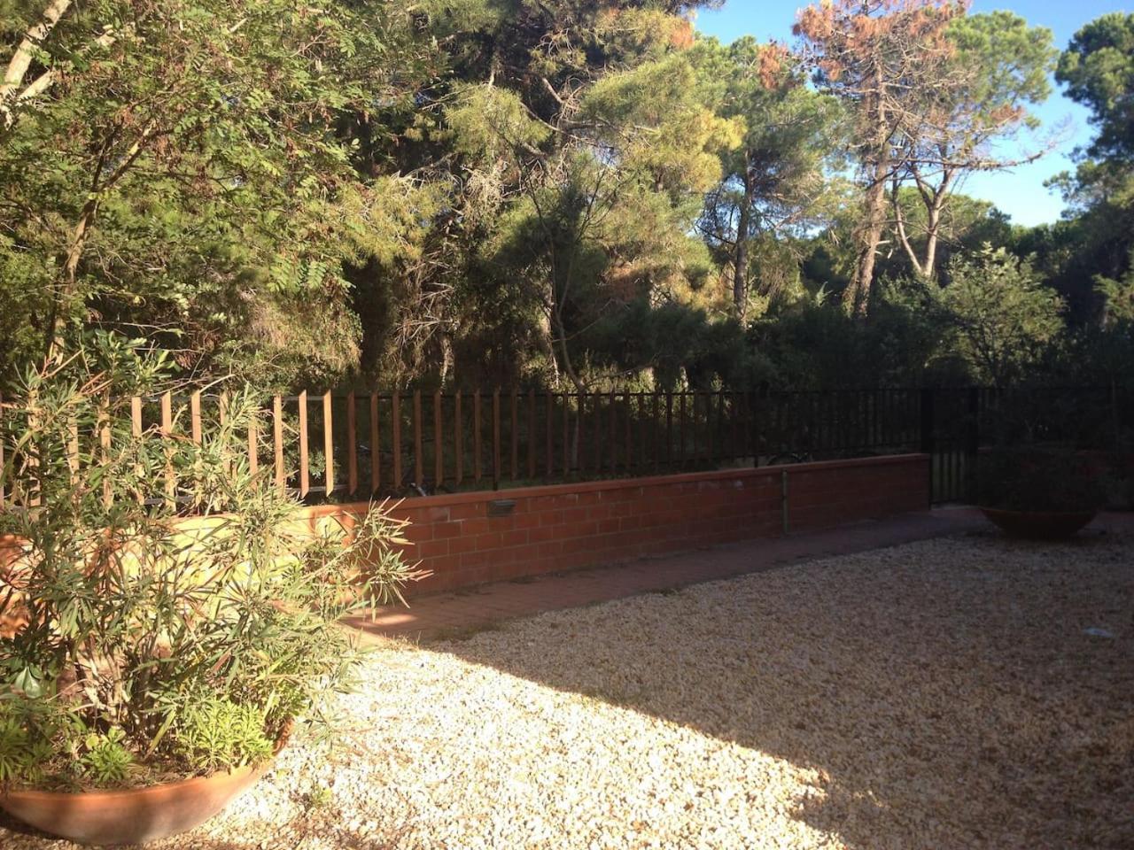 Bilocale a 40 mt. dalla spiaggia circondato dalla pineta view 3