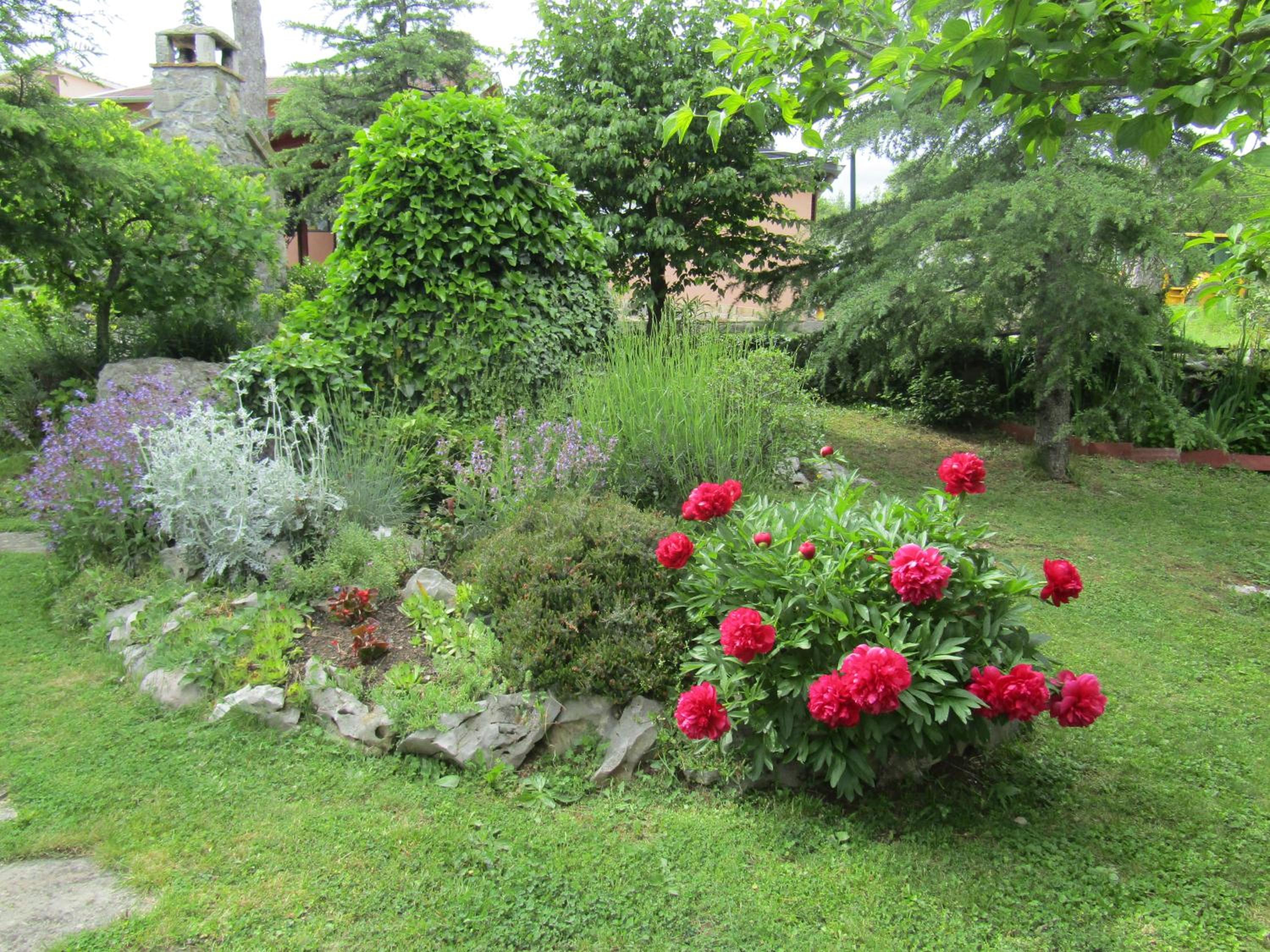 Photo 33