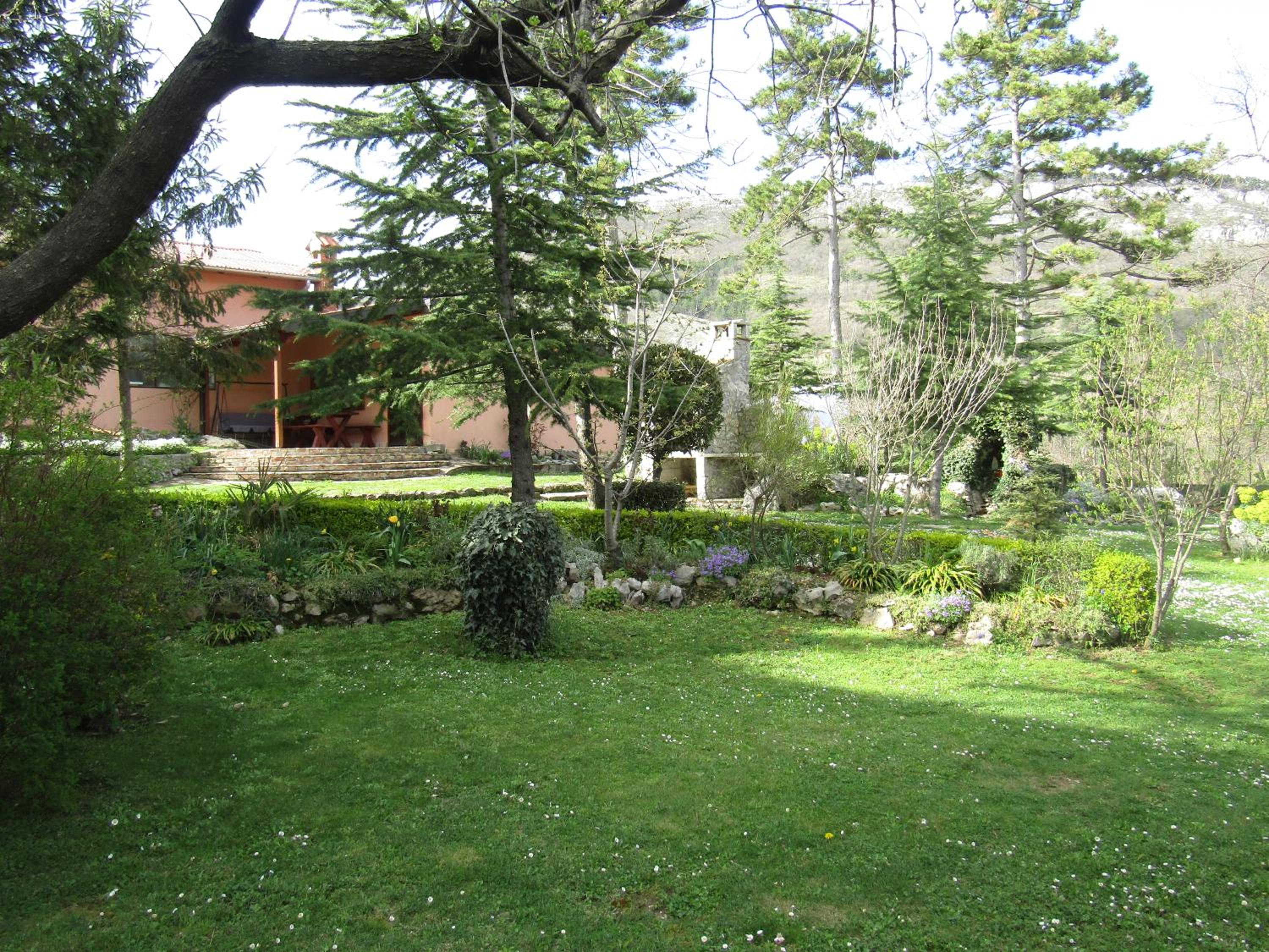 Photo 28