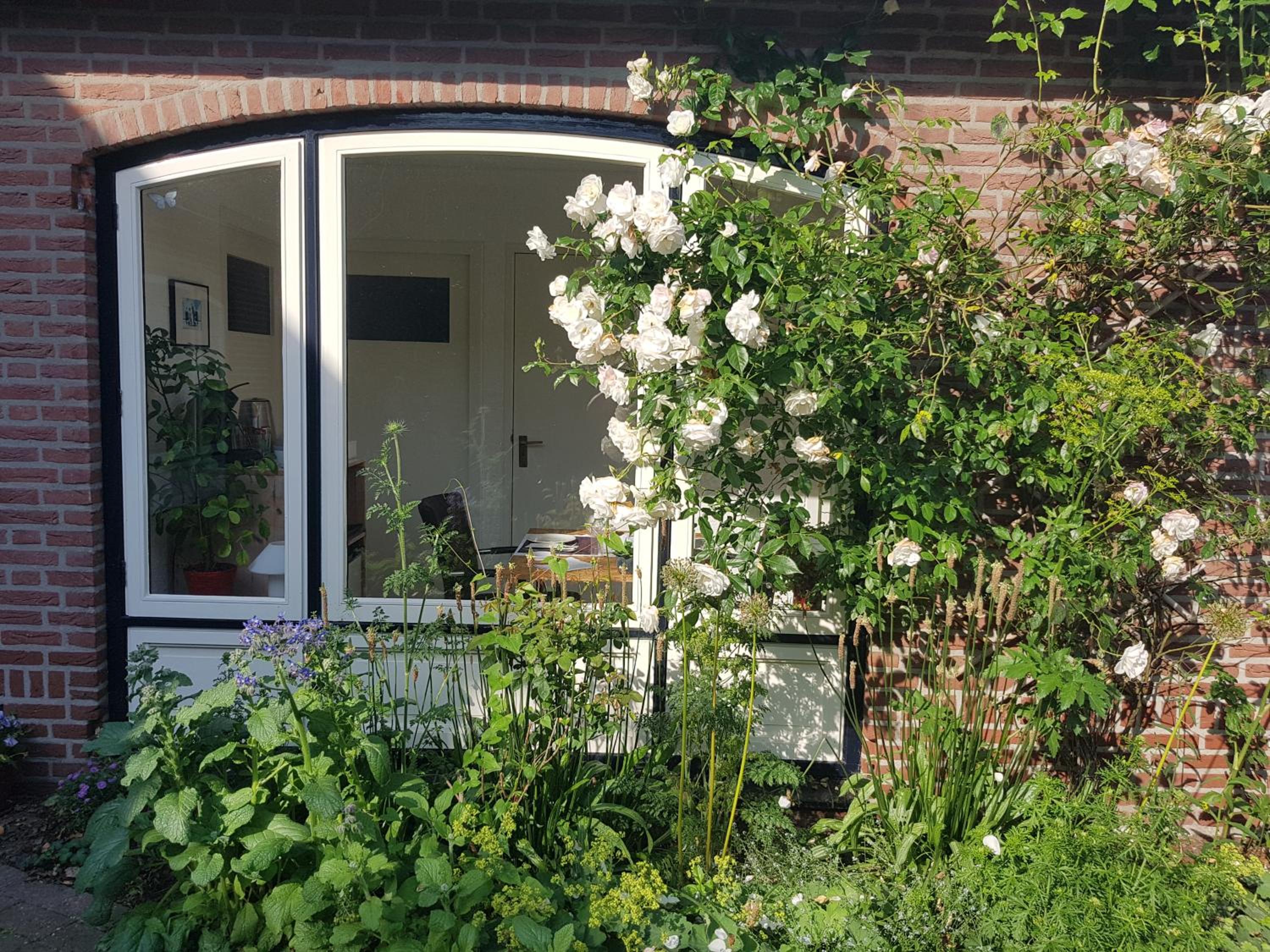 B&B Oostrik view 3