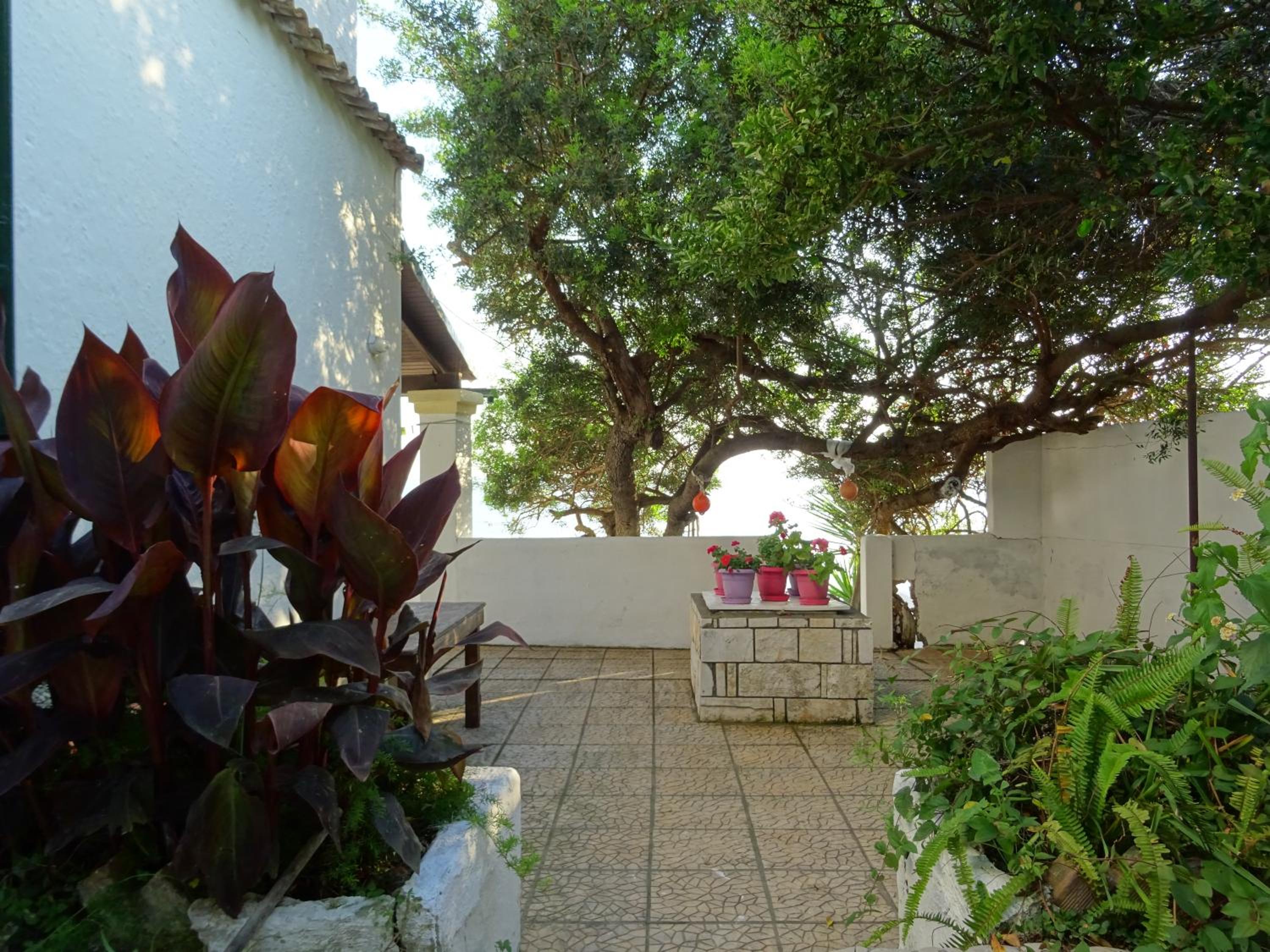 Josef and Marina House