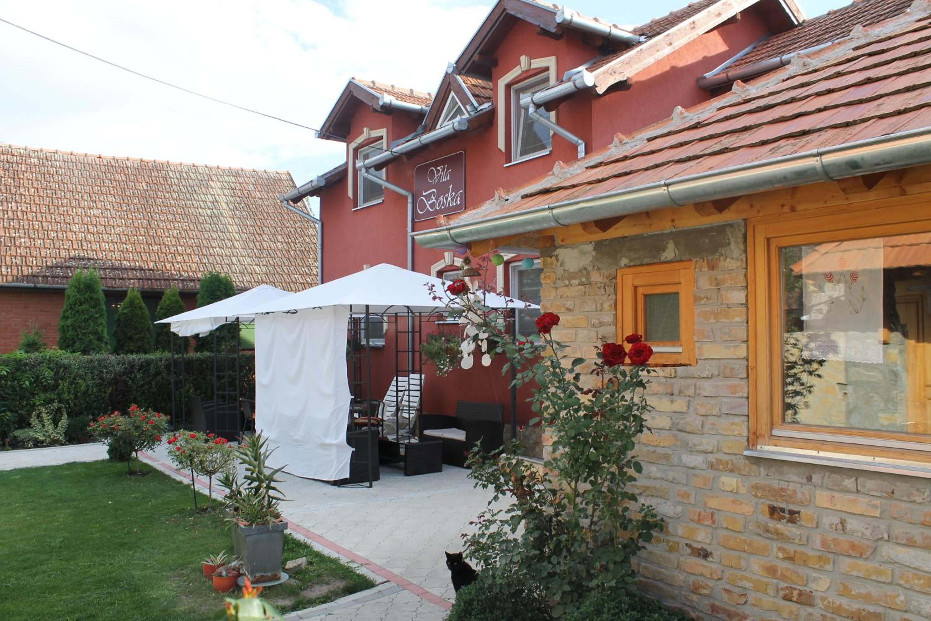 Photo 11