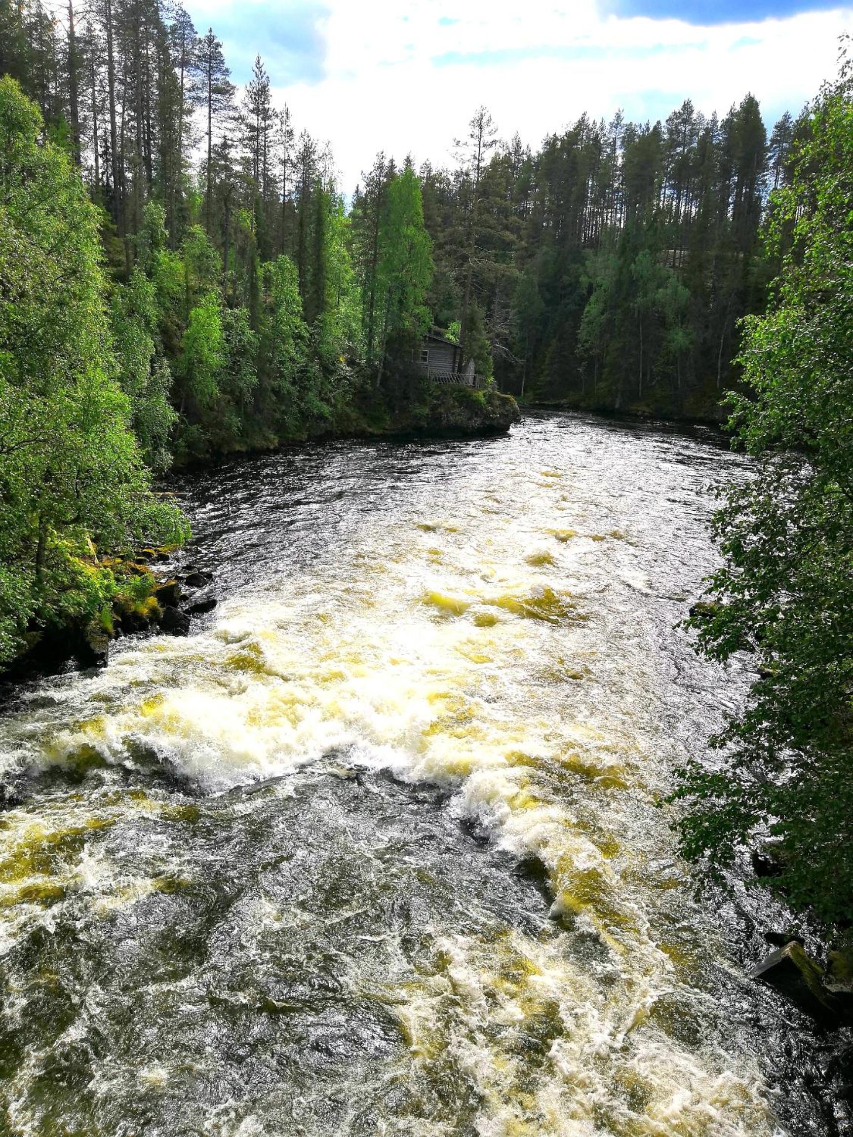 Photo 33
