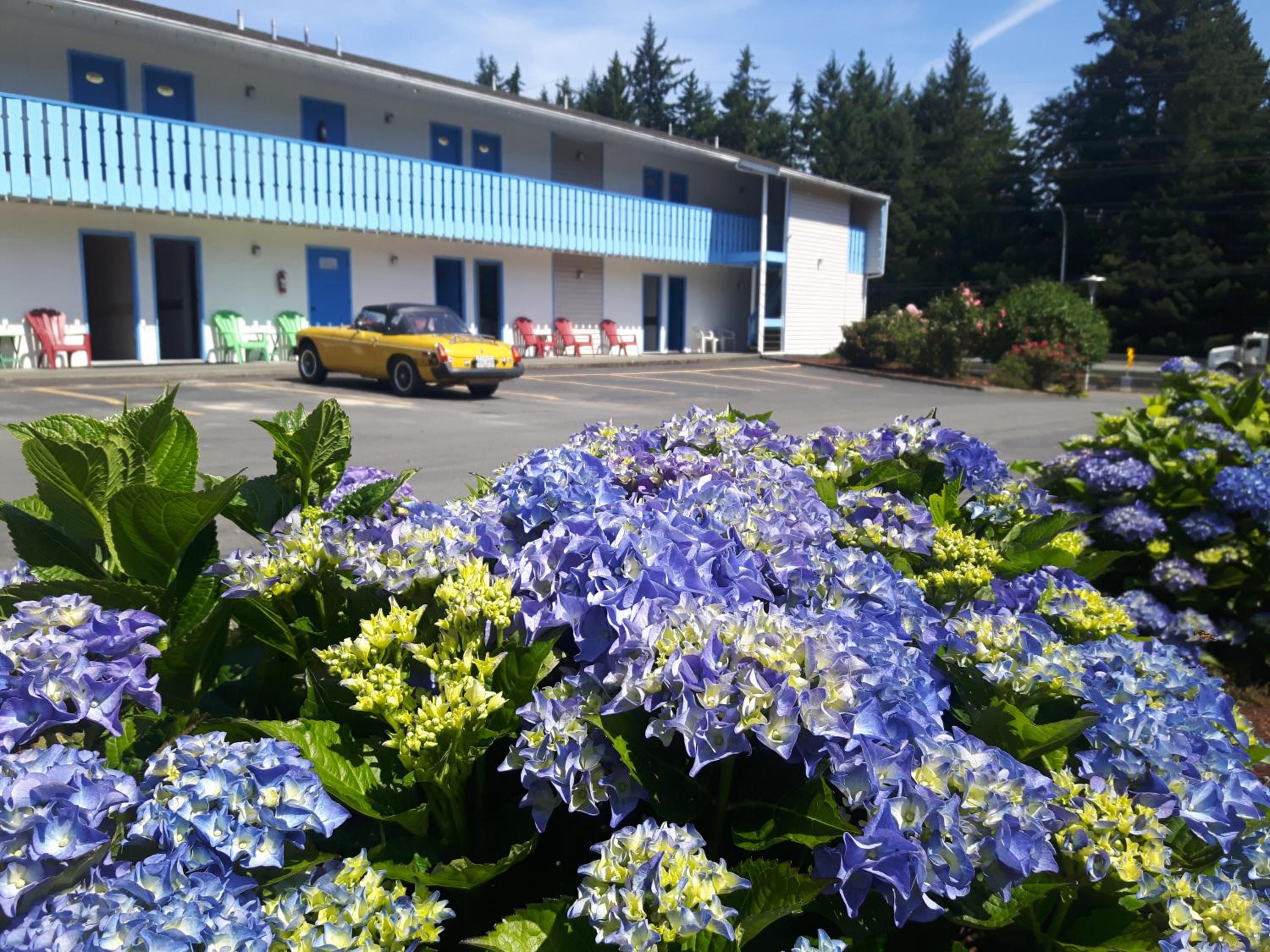 Fuller Lake Chemainus Motel