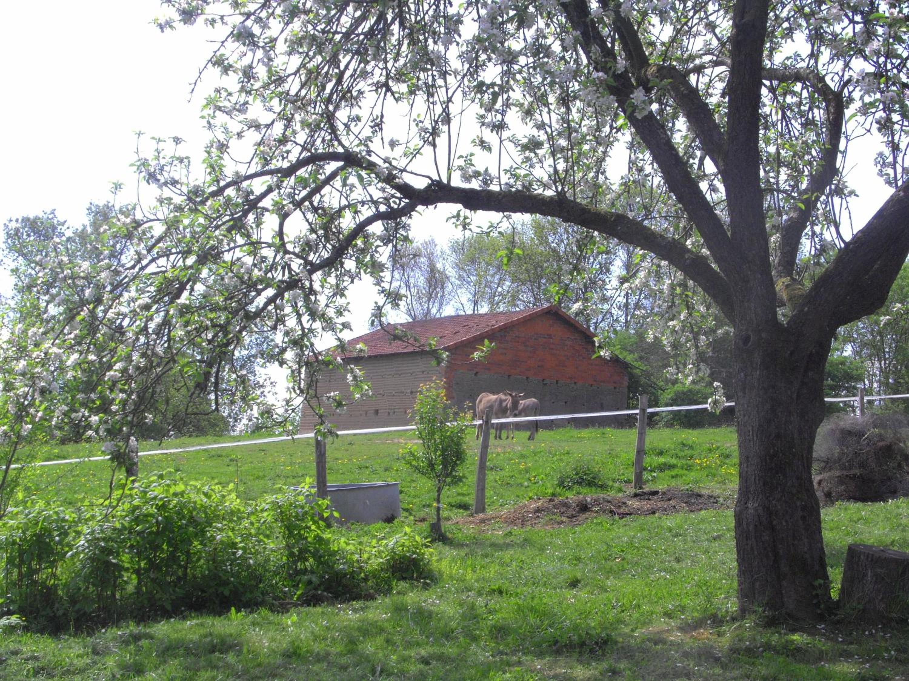 Photo 35