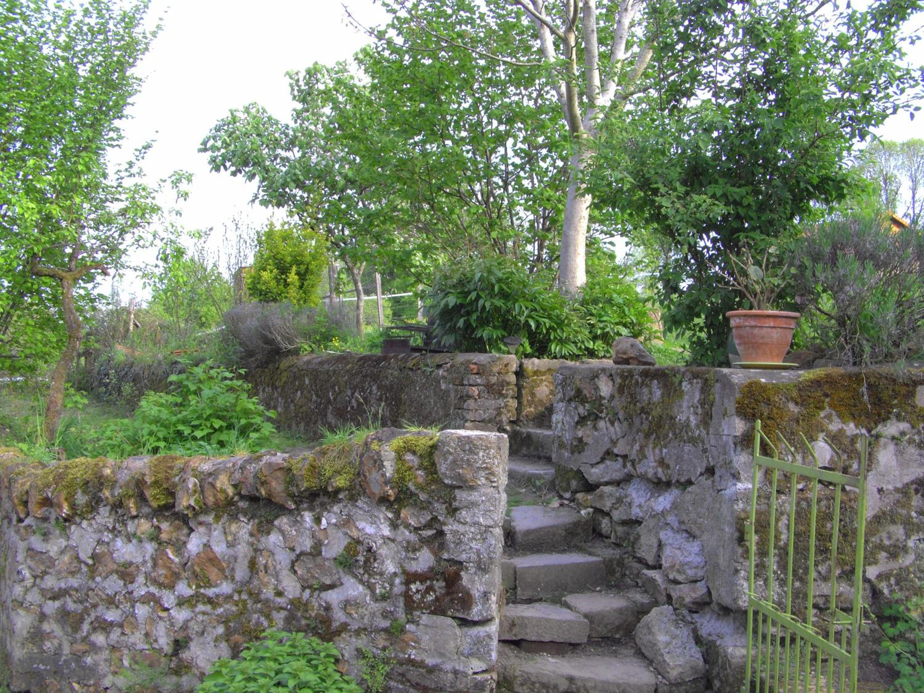 Photo 44