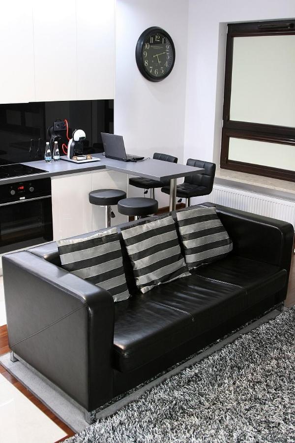 Apartament H&P Silver view 2