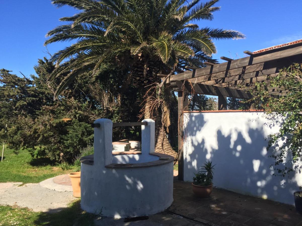 outdoor BBQ area