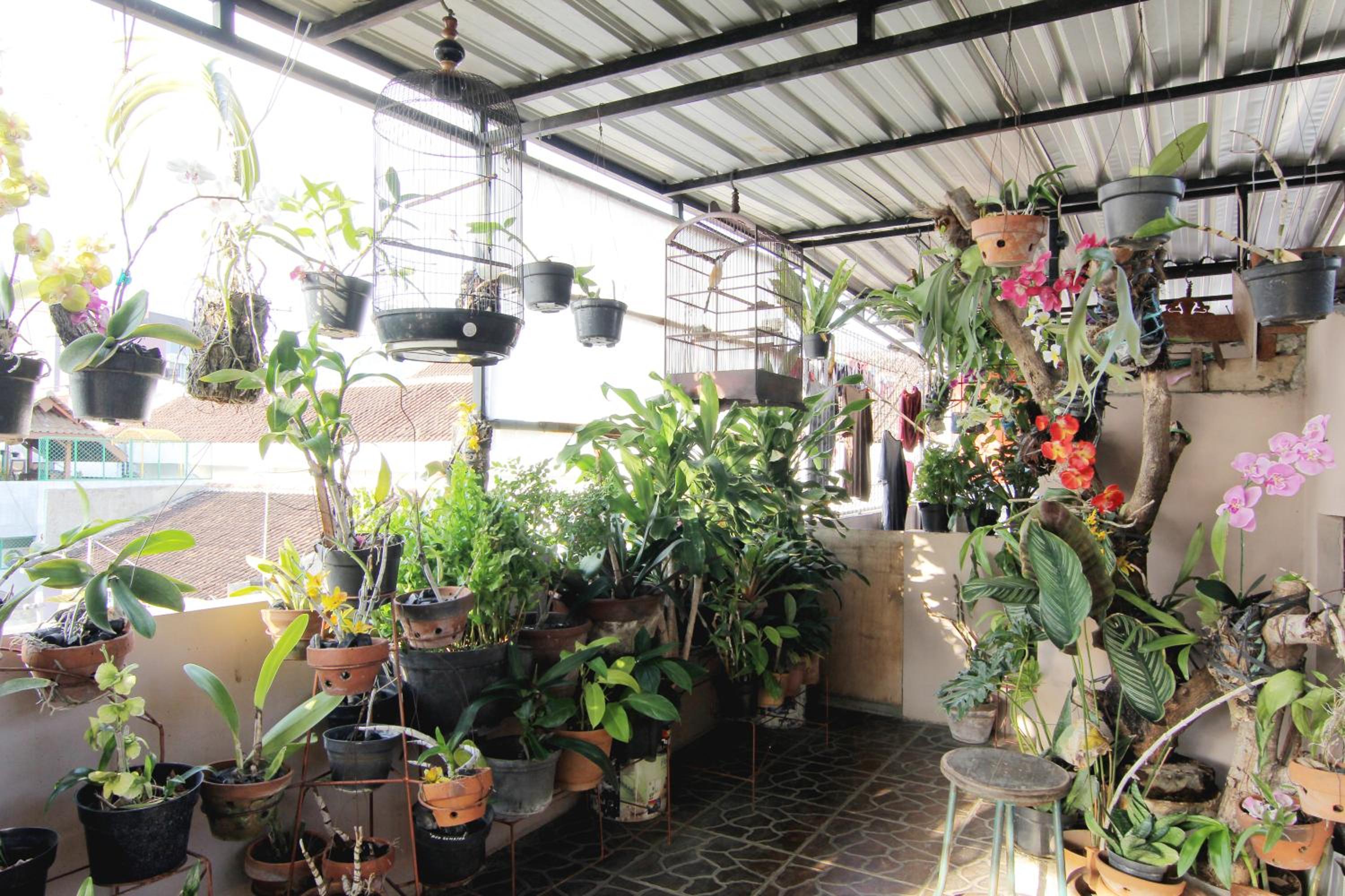 Wanderlust Homestay