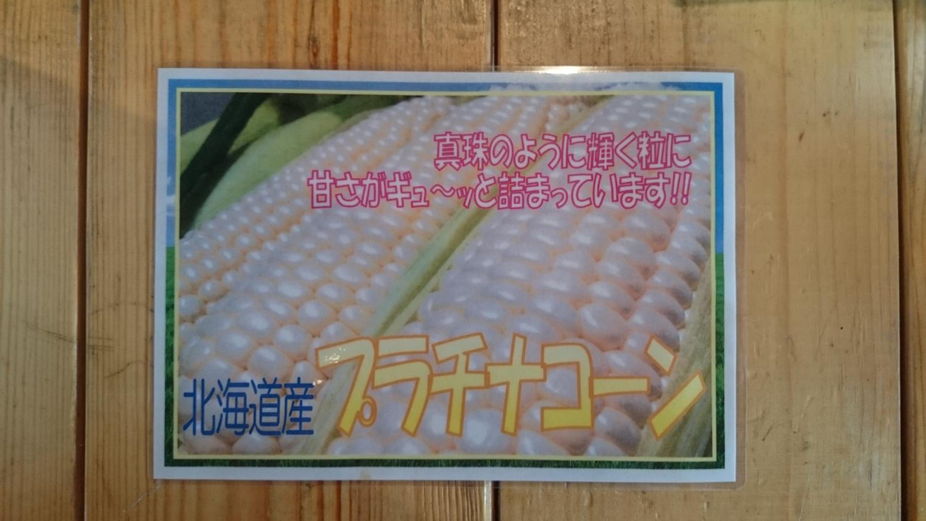 Photo 46