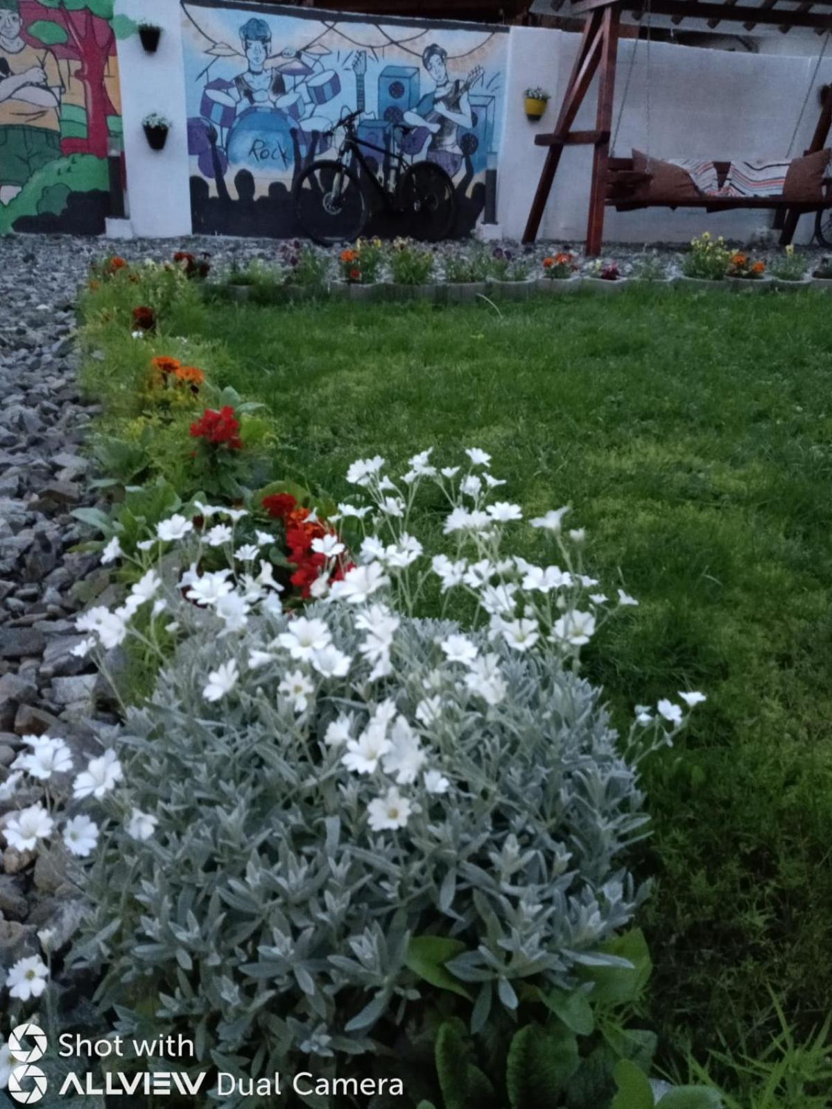 Photo 25