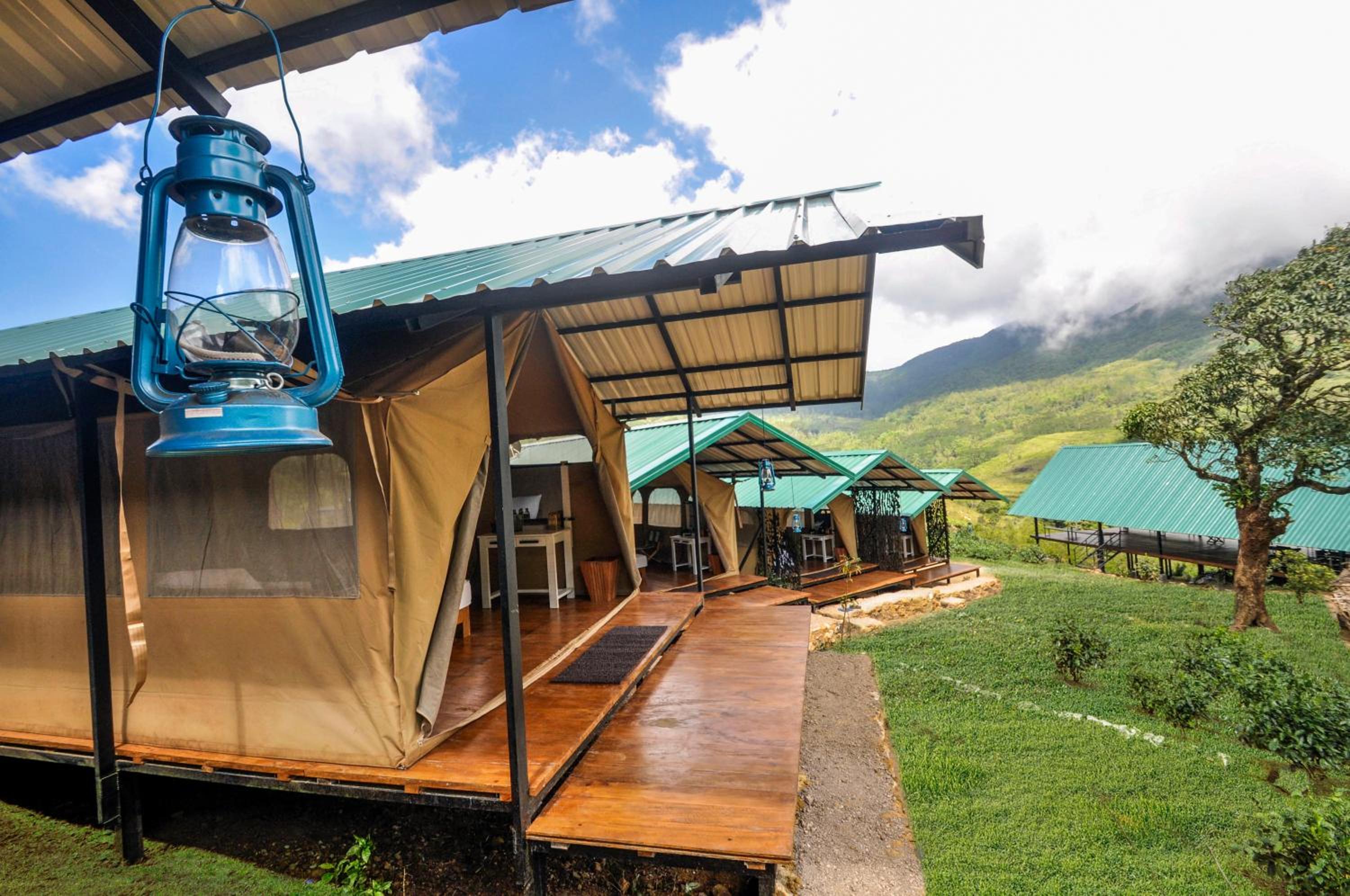 Wild Glamping Knuckles - Thema Collection view 5