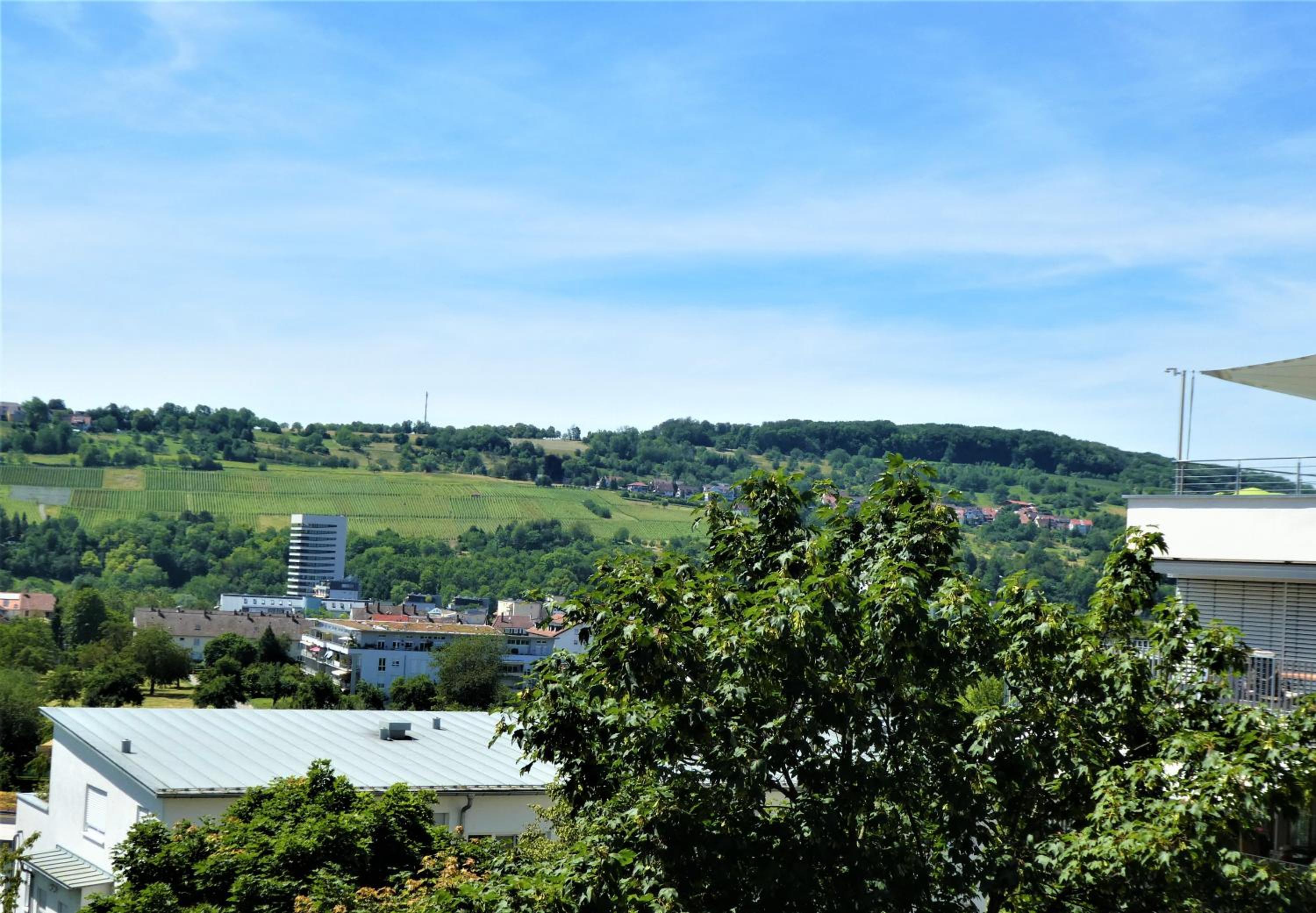 Baselblick