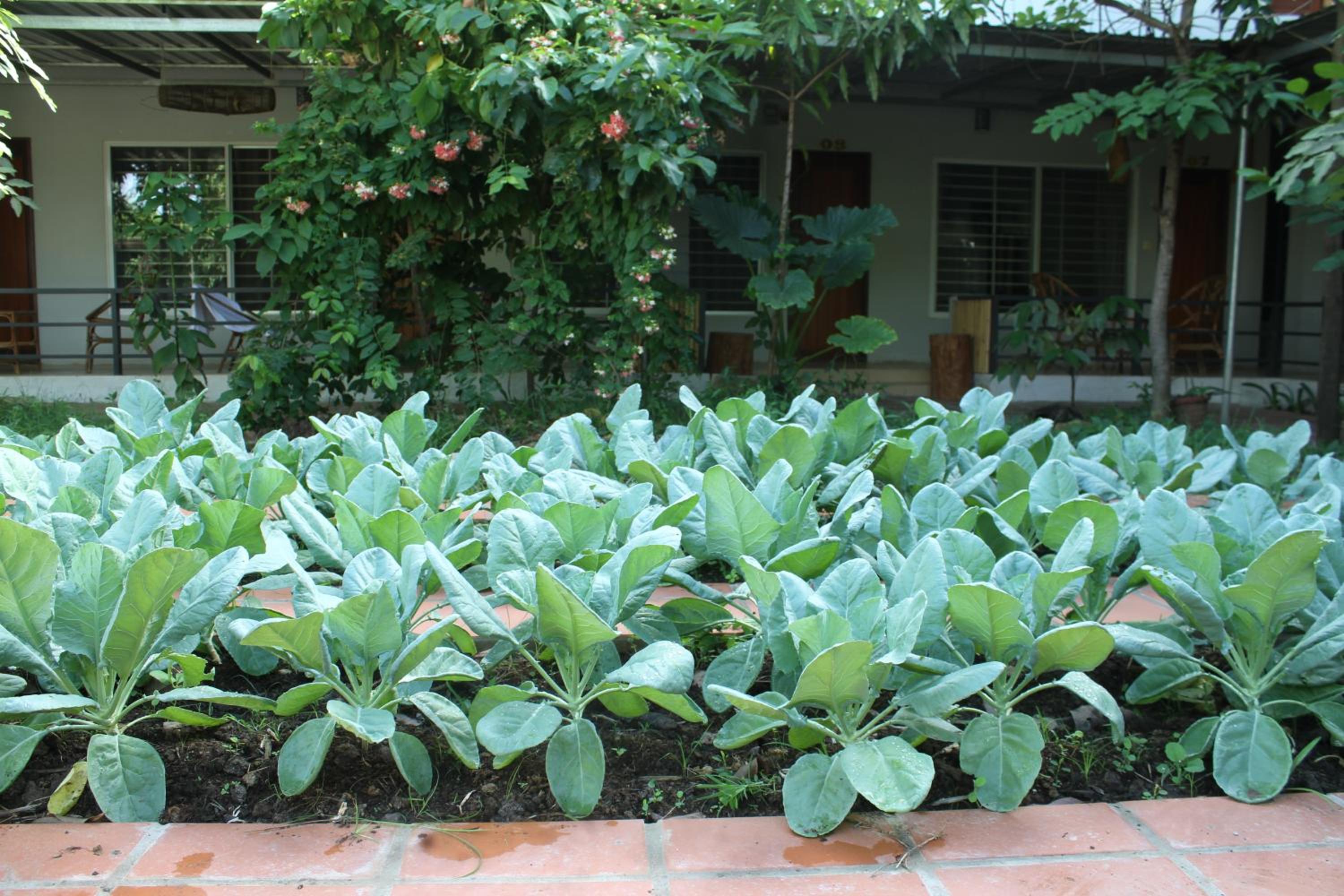 My Parents Guesthouse