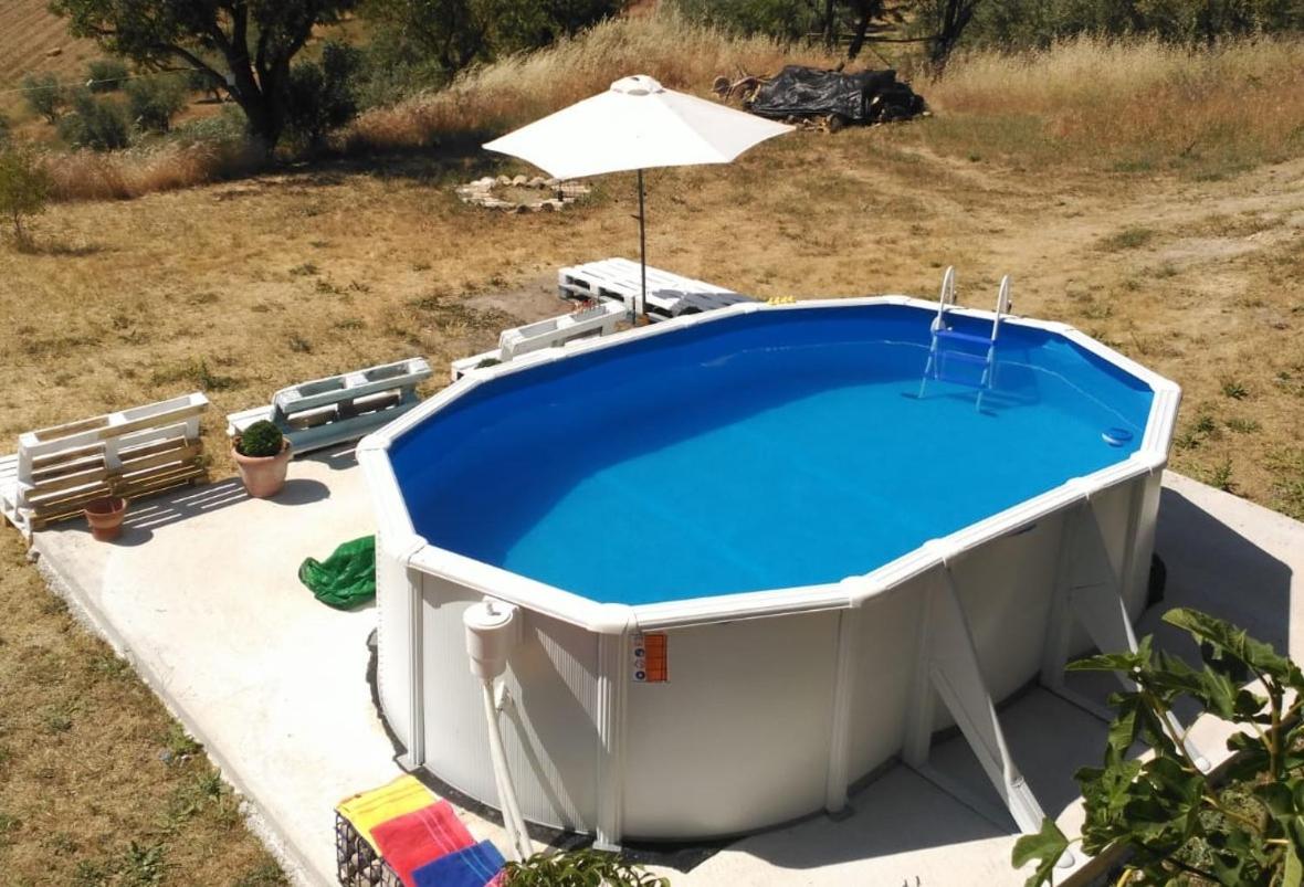 El Asno Azul view 5