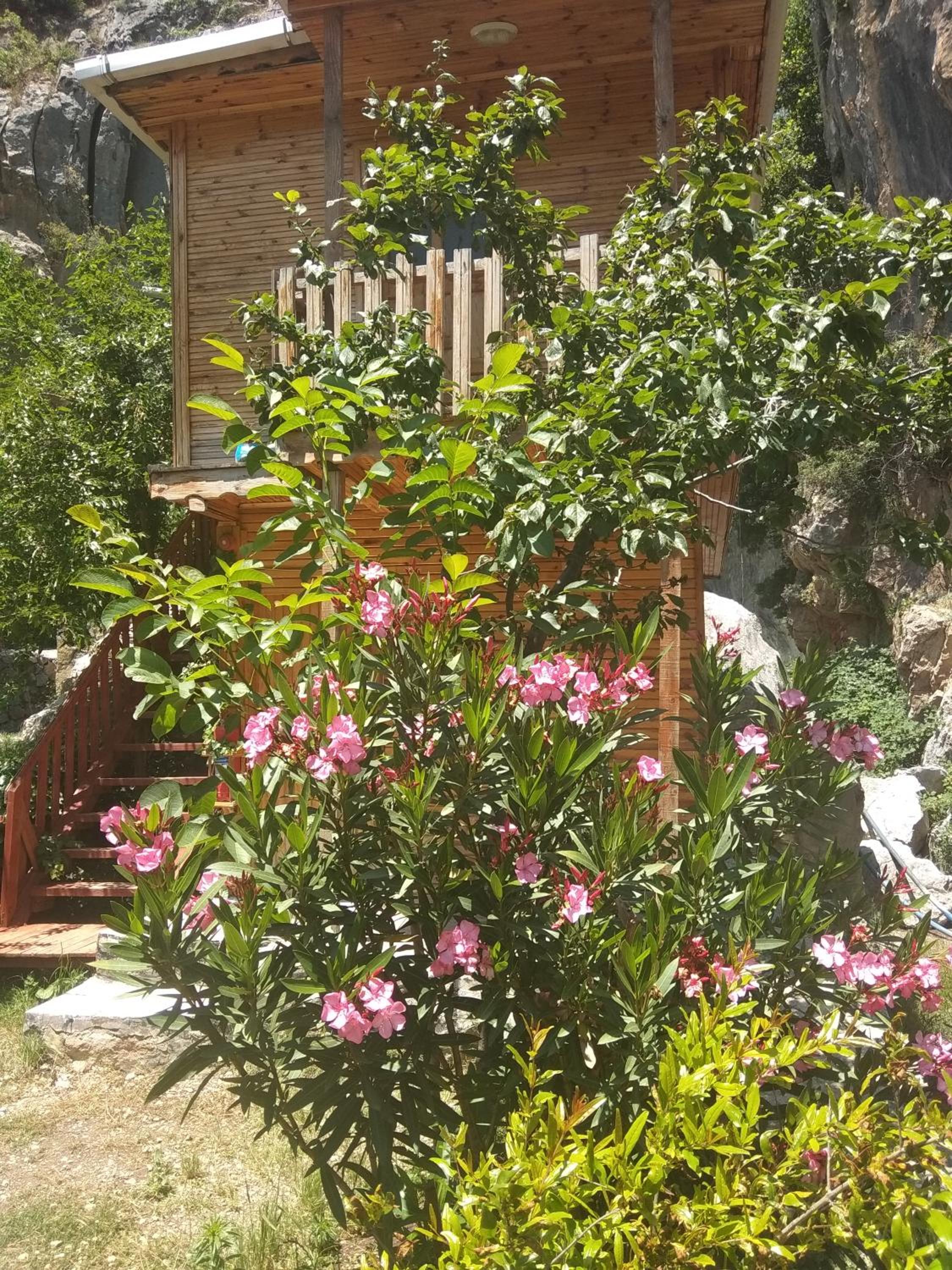 Kapuzbaşı Baştürk Tesisi view 5