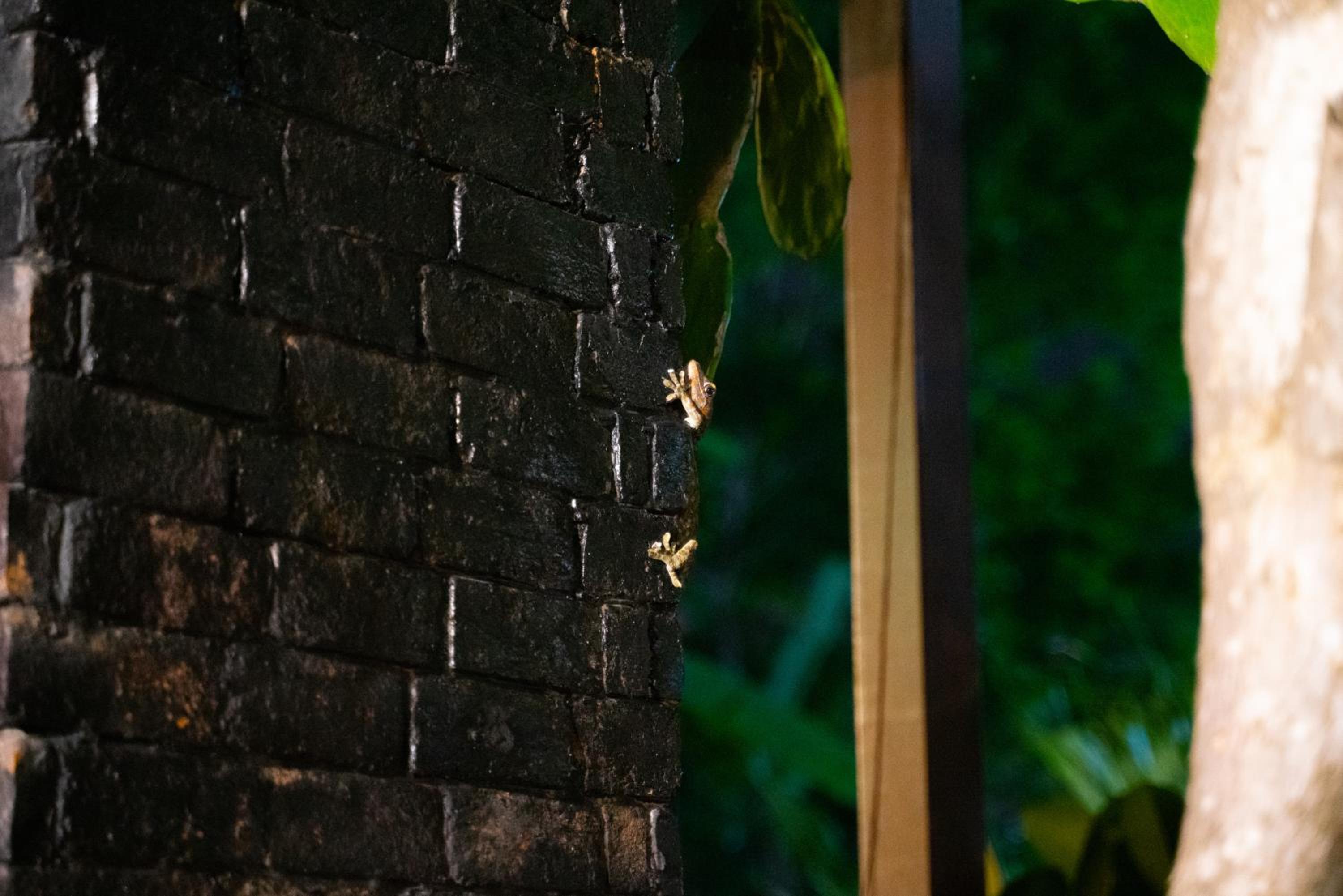 MoovInn Garden Guesthouse