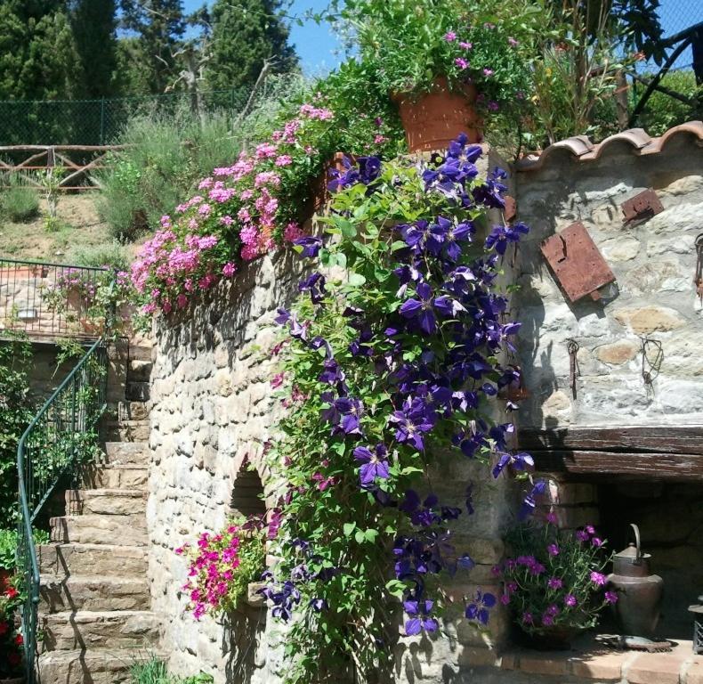 Photo 46