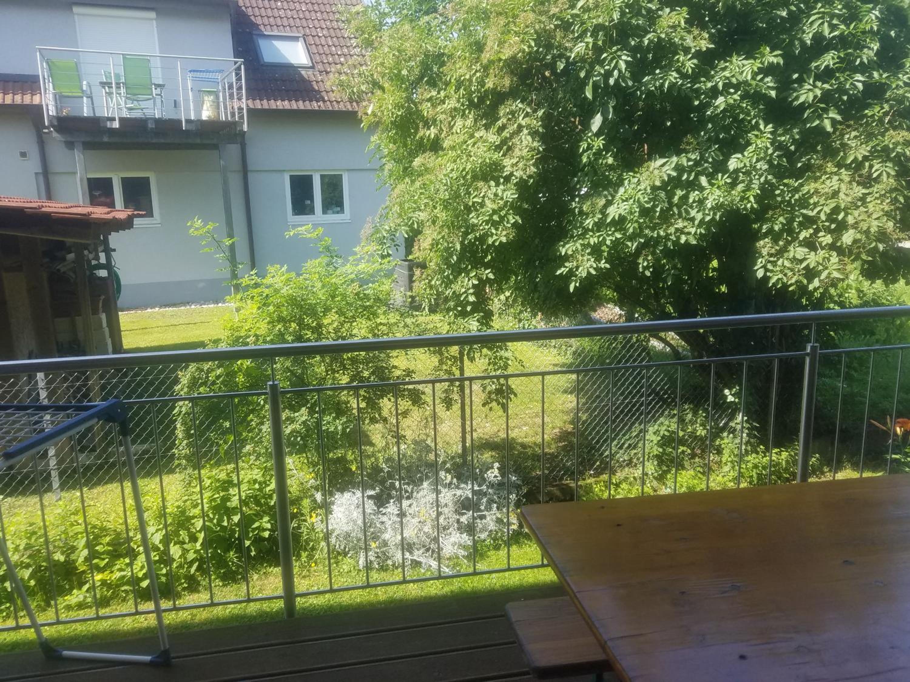 Photo 138