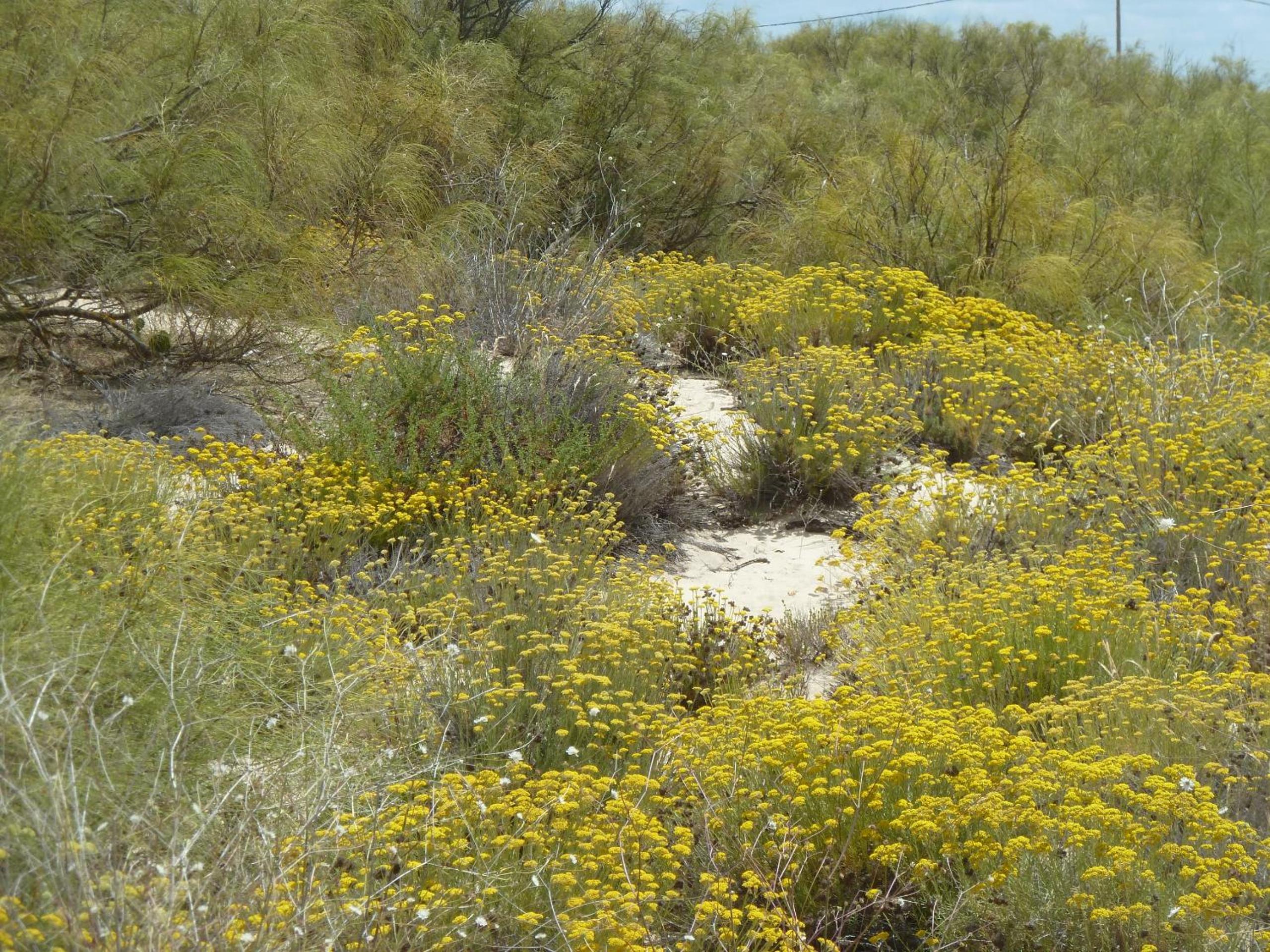 Photo 43