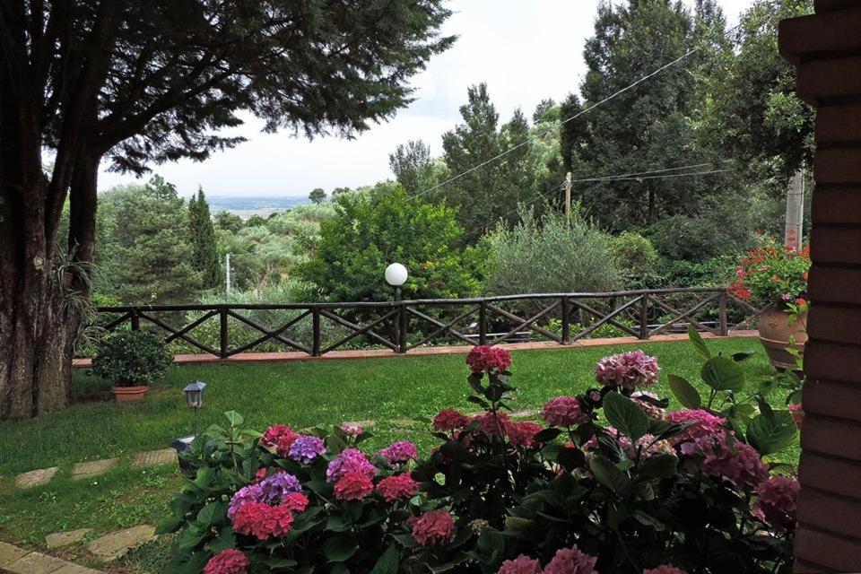 Photo 20