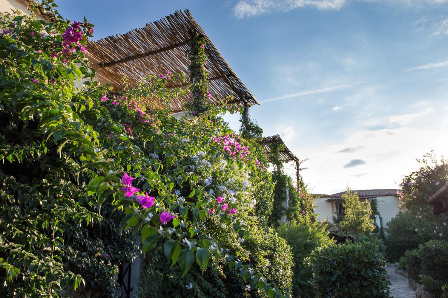 Hotel La Jacia Hotel & Resort - Image 1