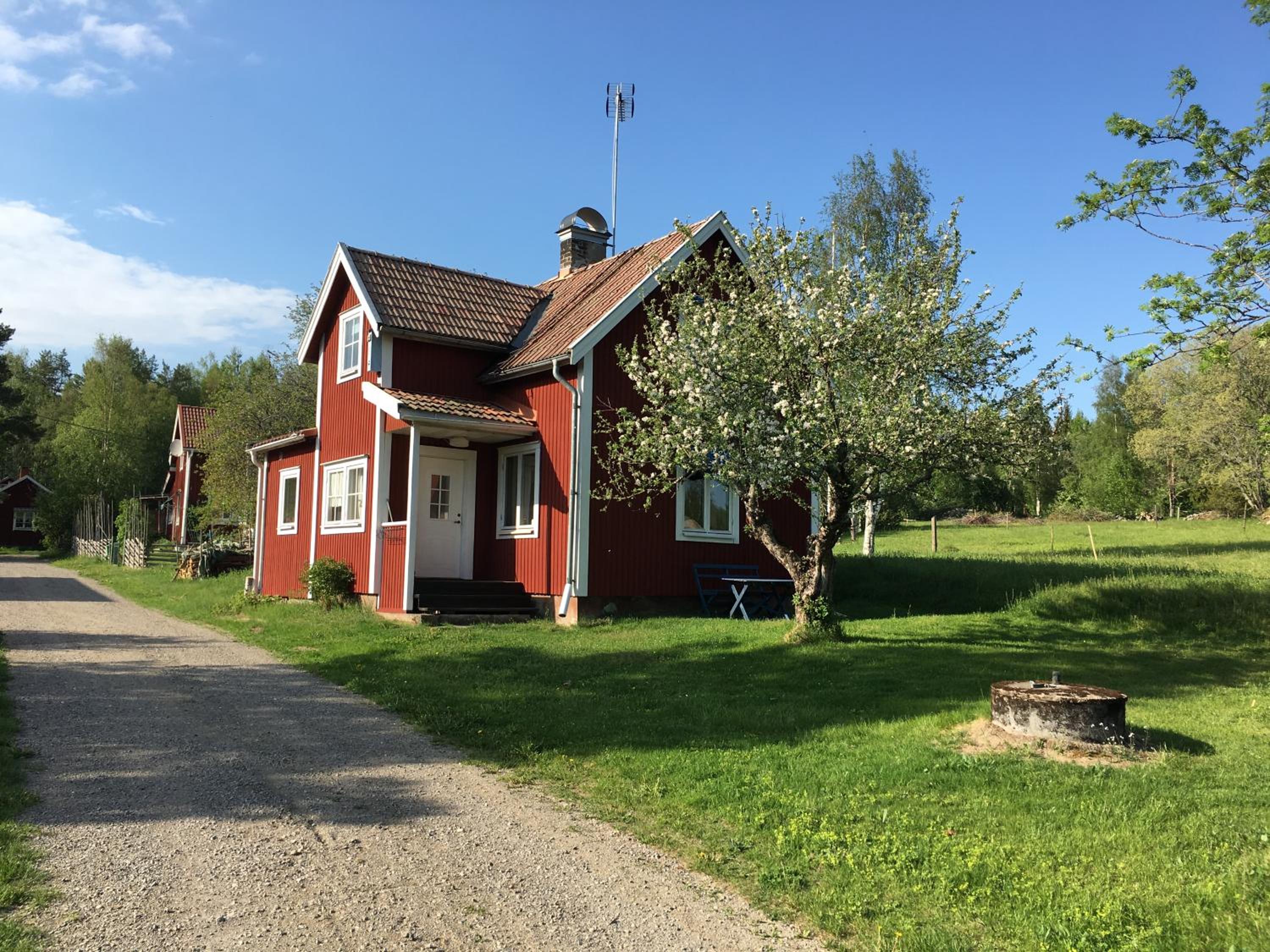Photo 16