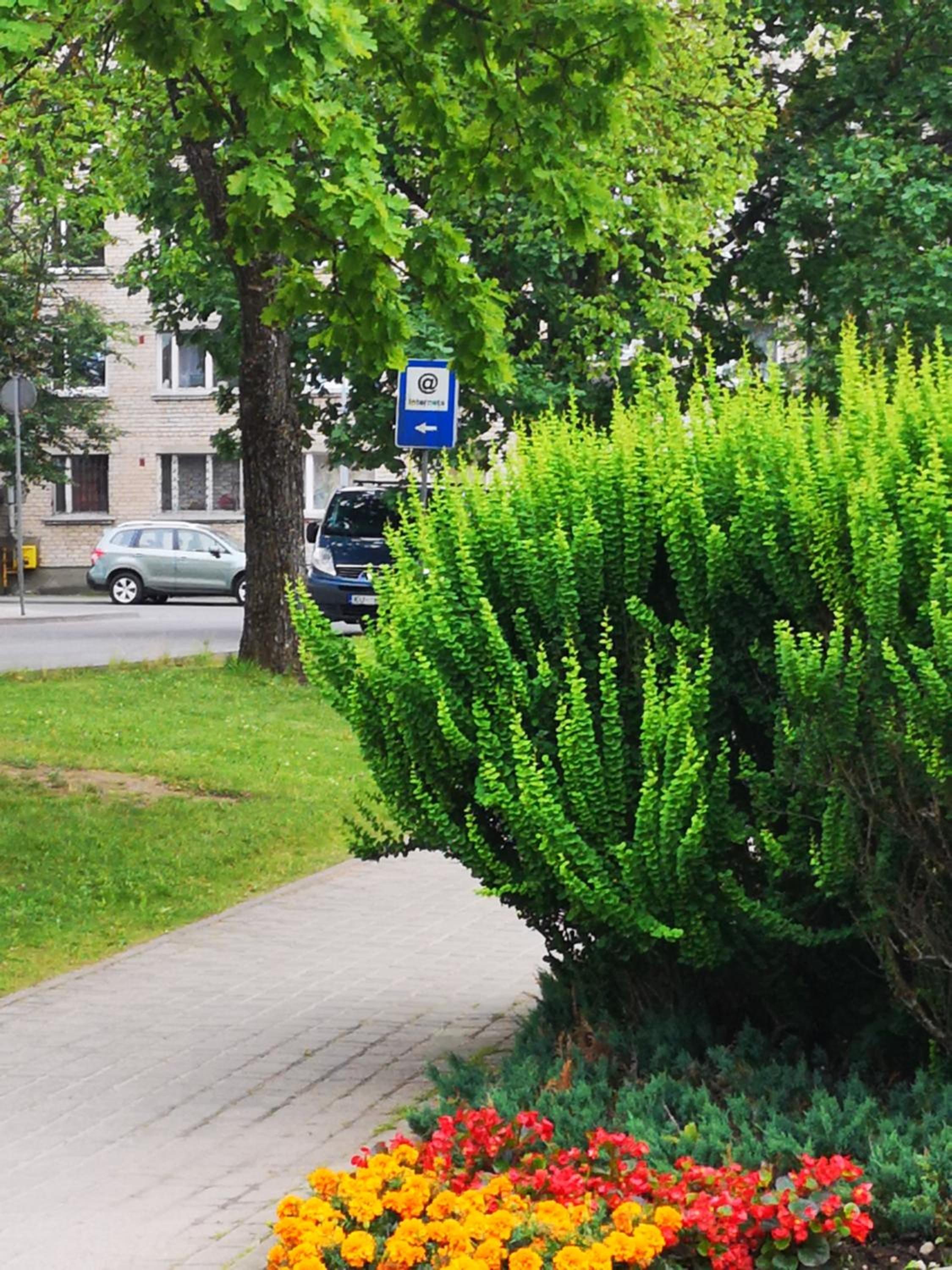 Photo 40