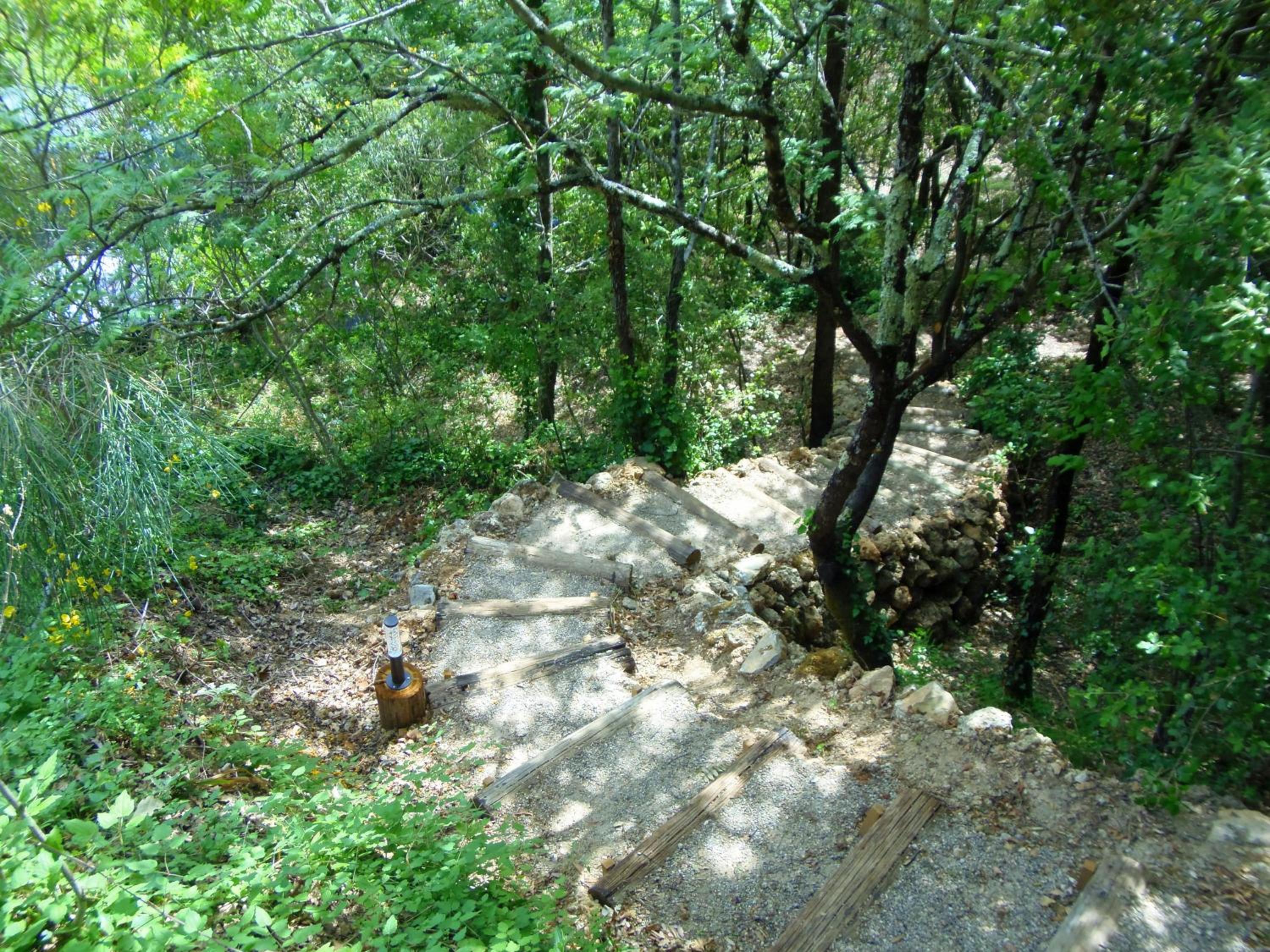Photo 38