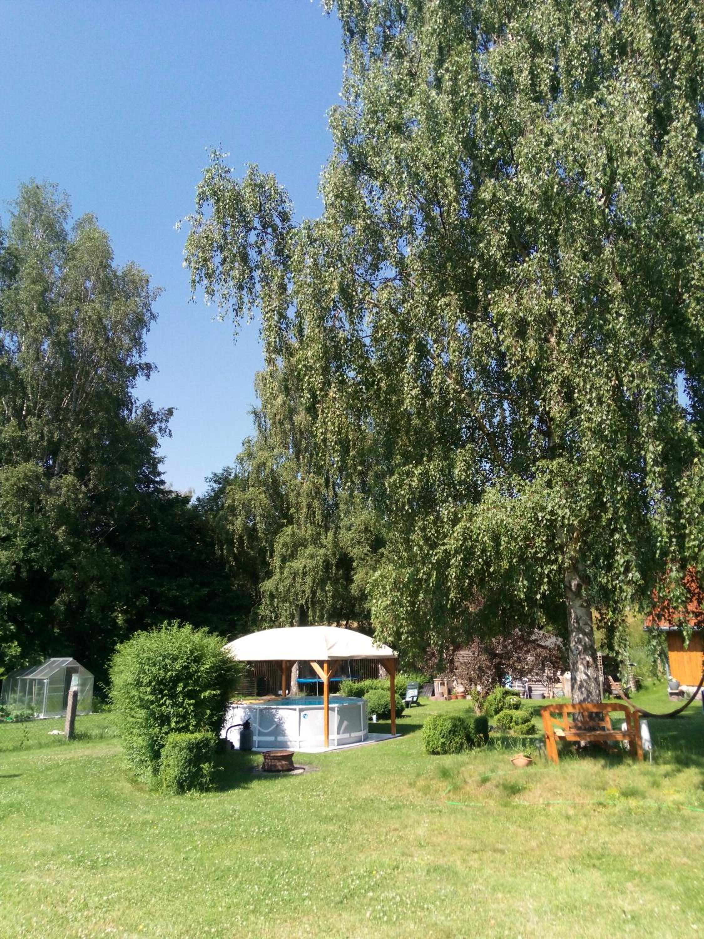 Photo 23