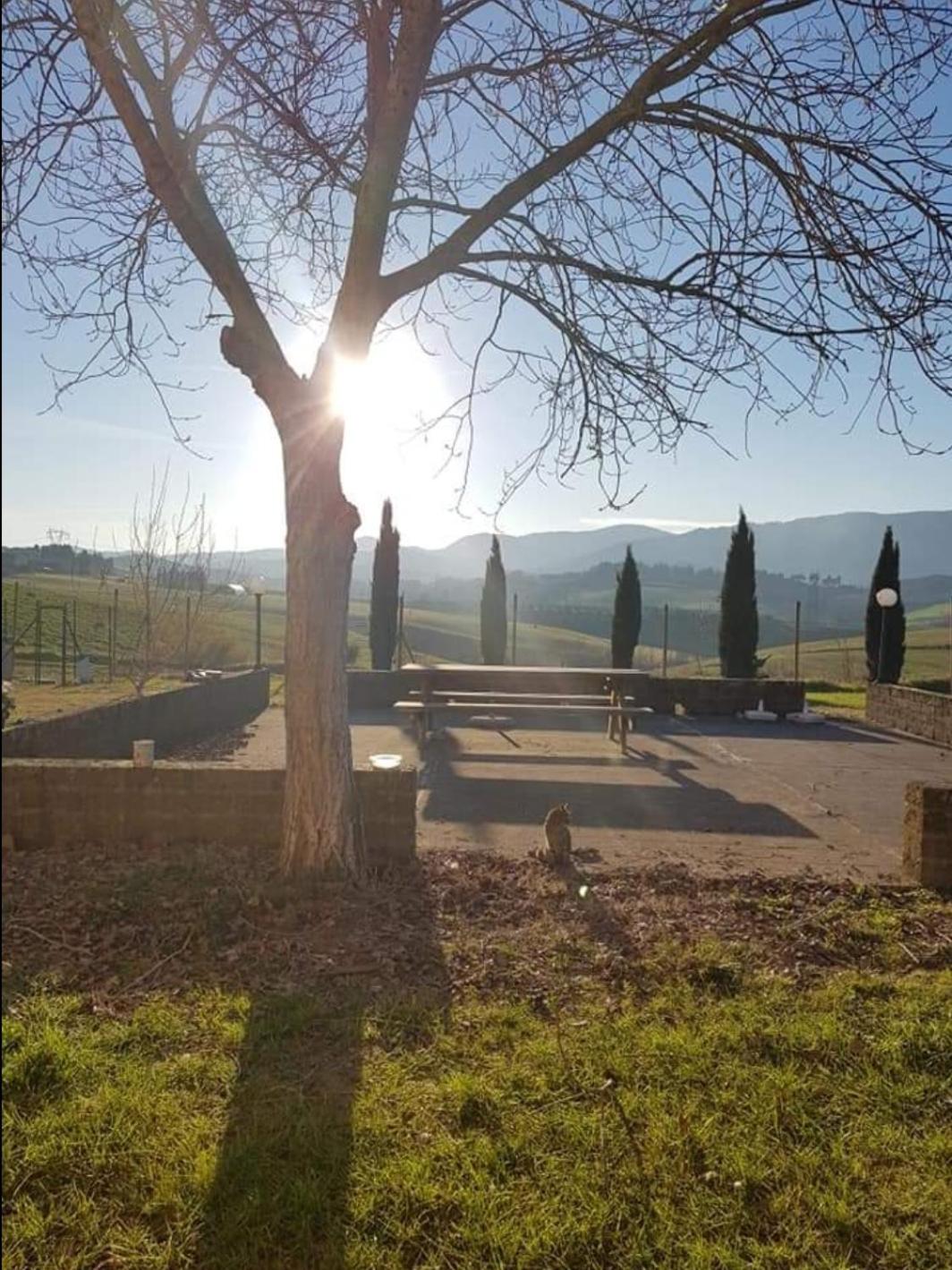 Agriturismo La Valle della Lavanda - Podere Mezzastrada view 5