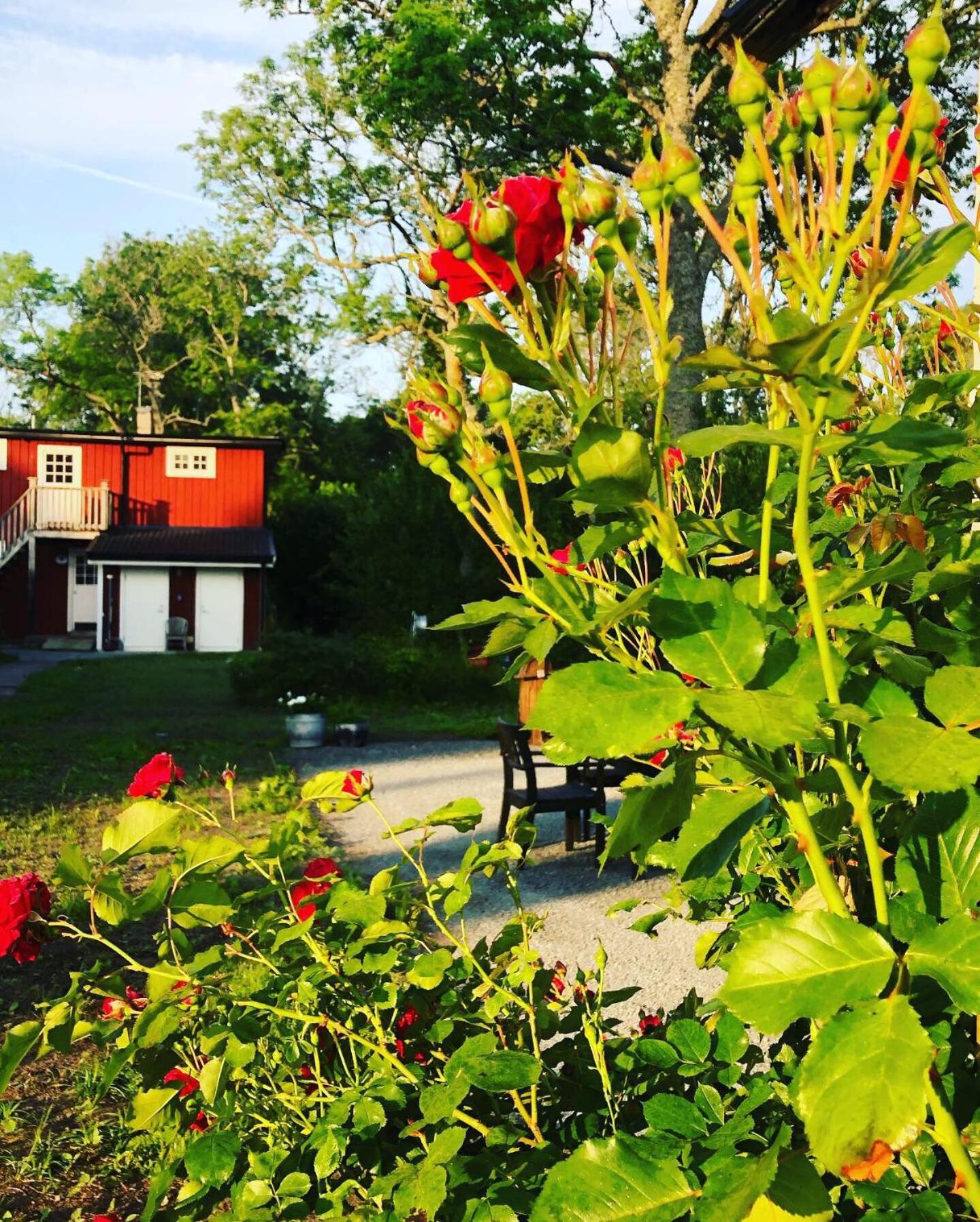 Pensionat Haga Öland