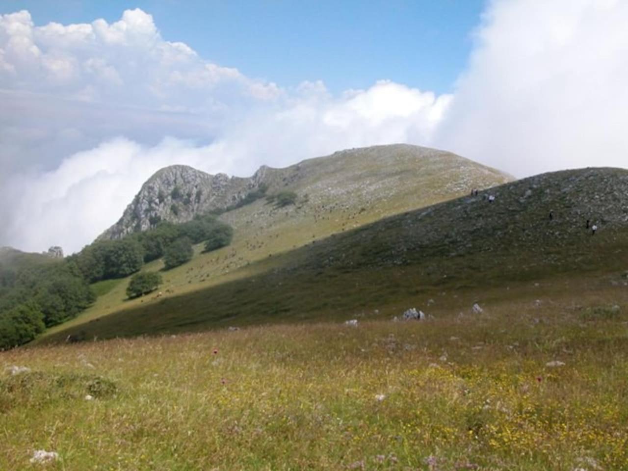 Photo 30