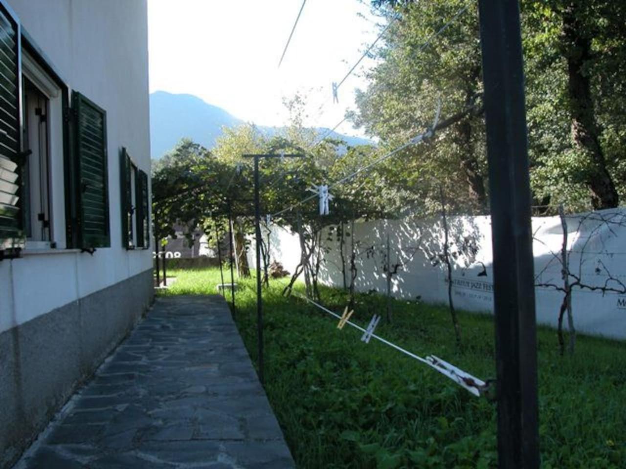 Photo 29