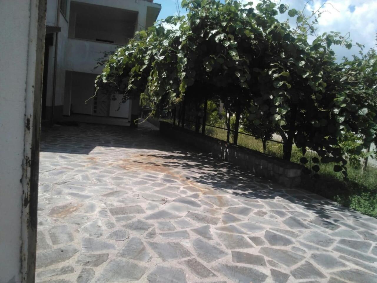 Photo 28