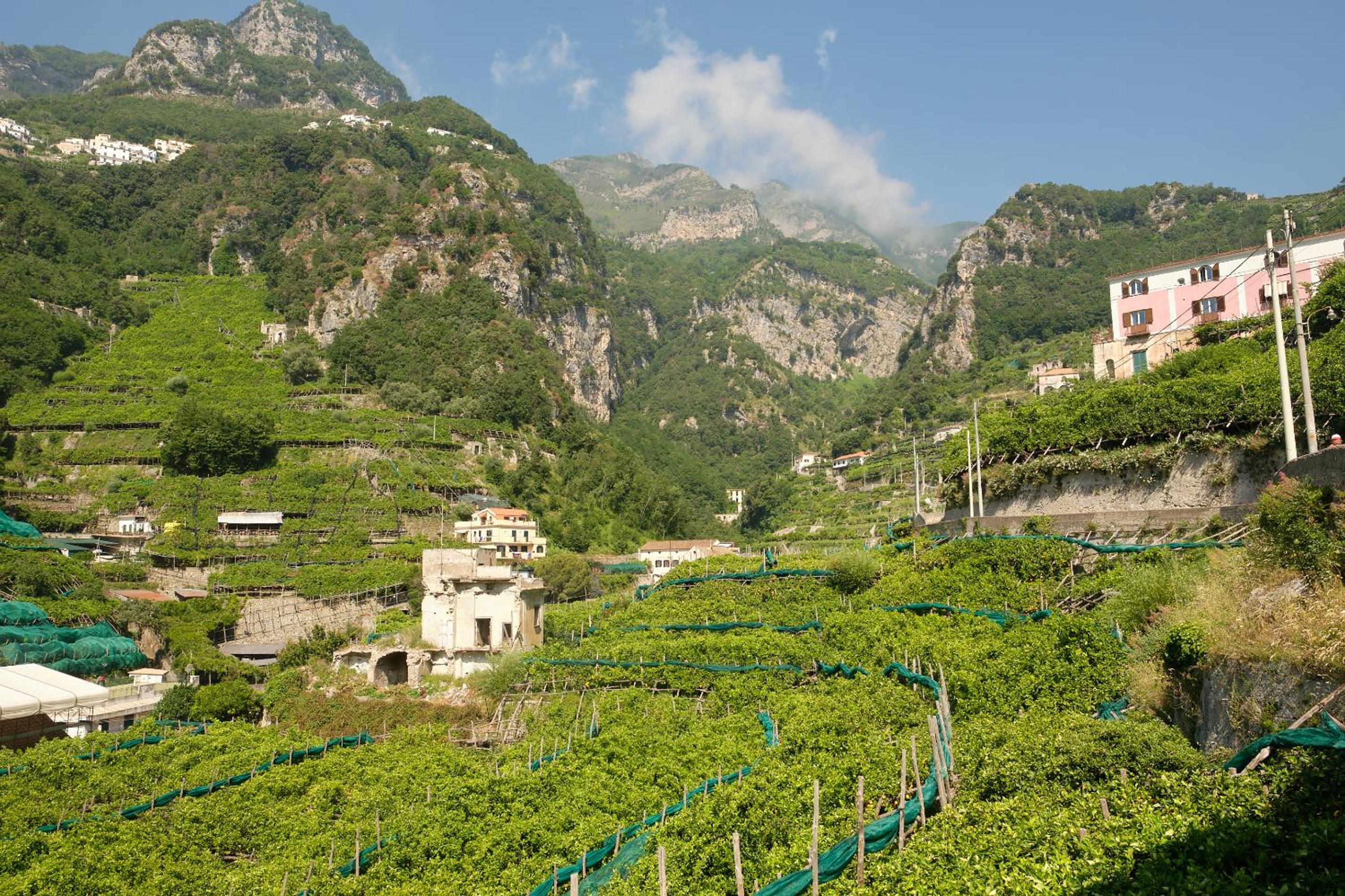 Villa Pricitella photo 3