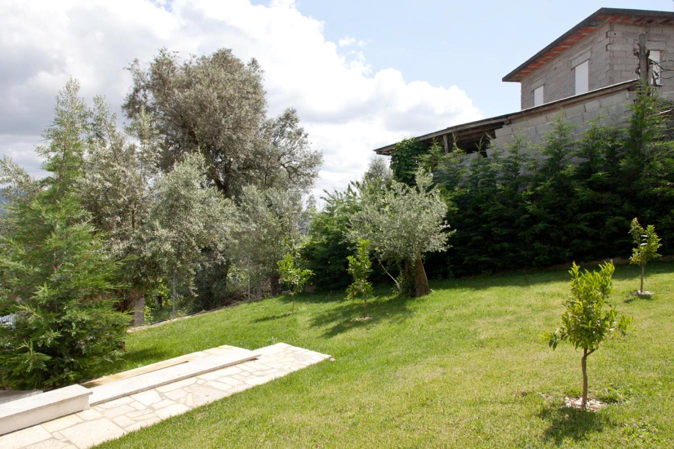 Photo 41