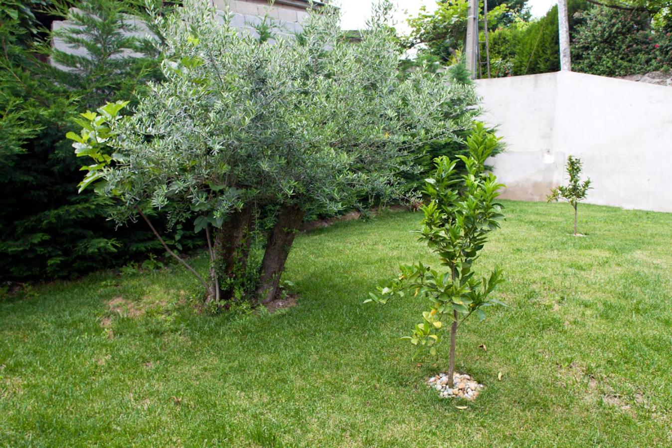 Photo 50