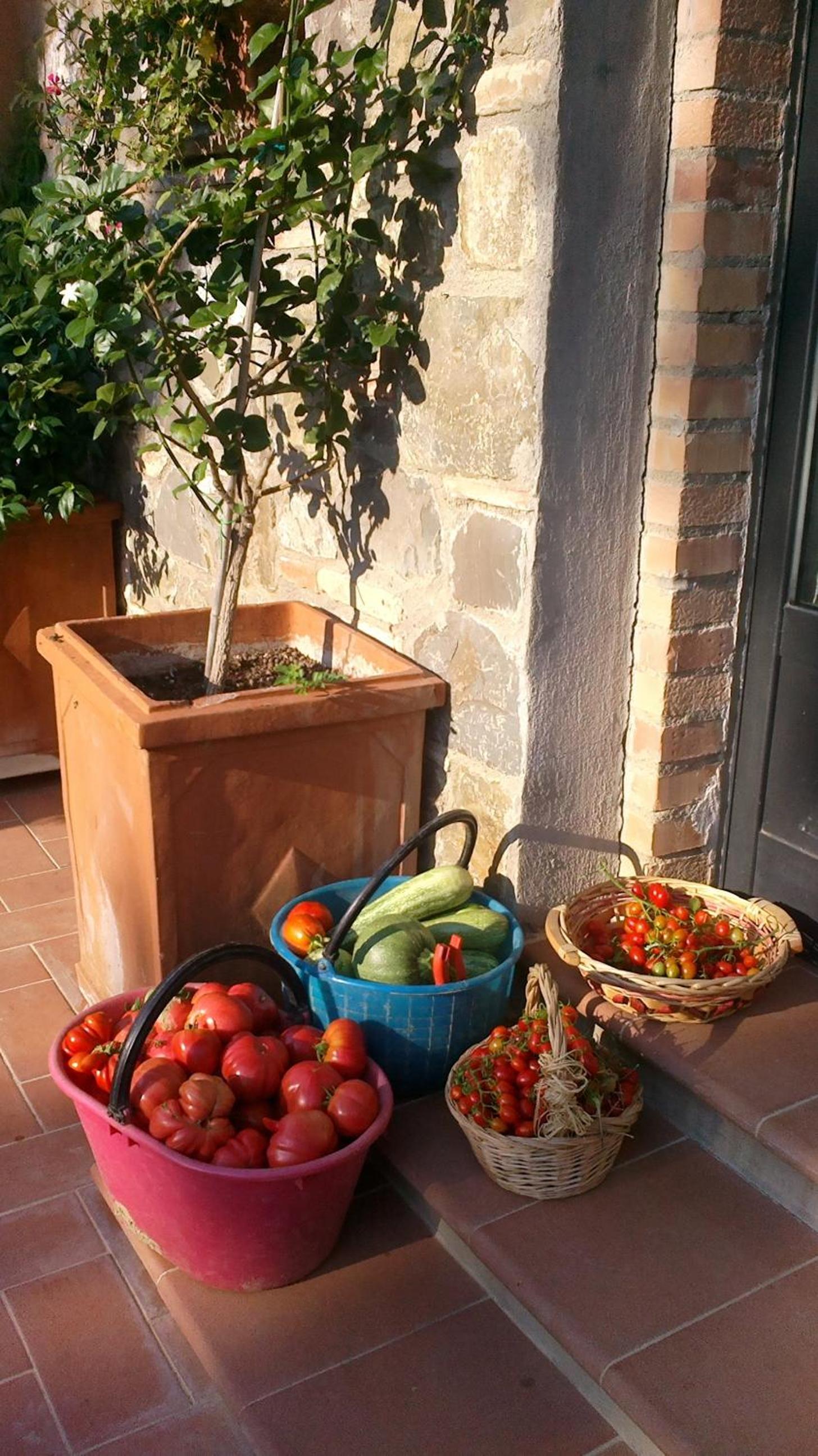 Podere San Quirico