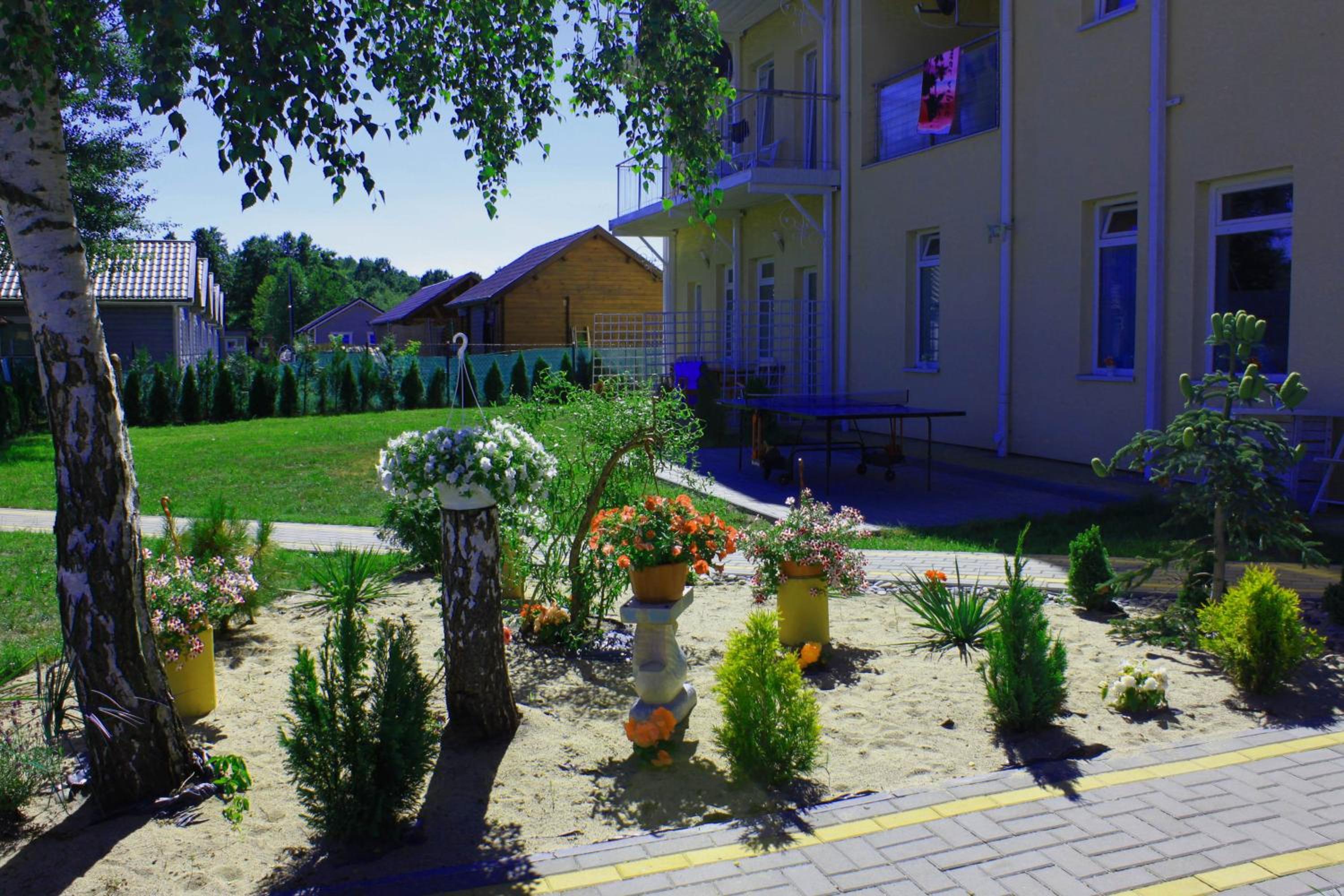 Photo 46