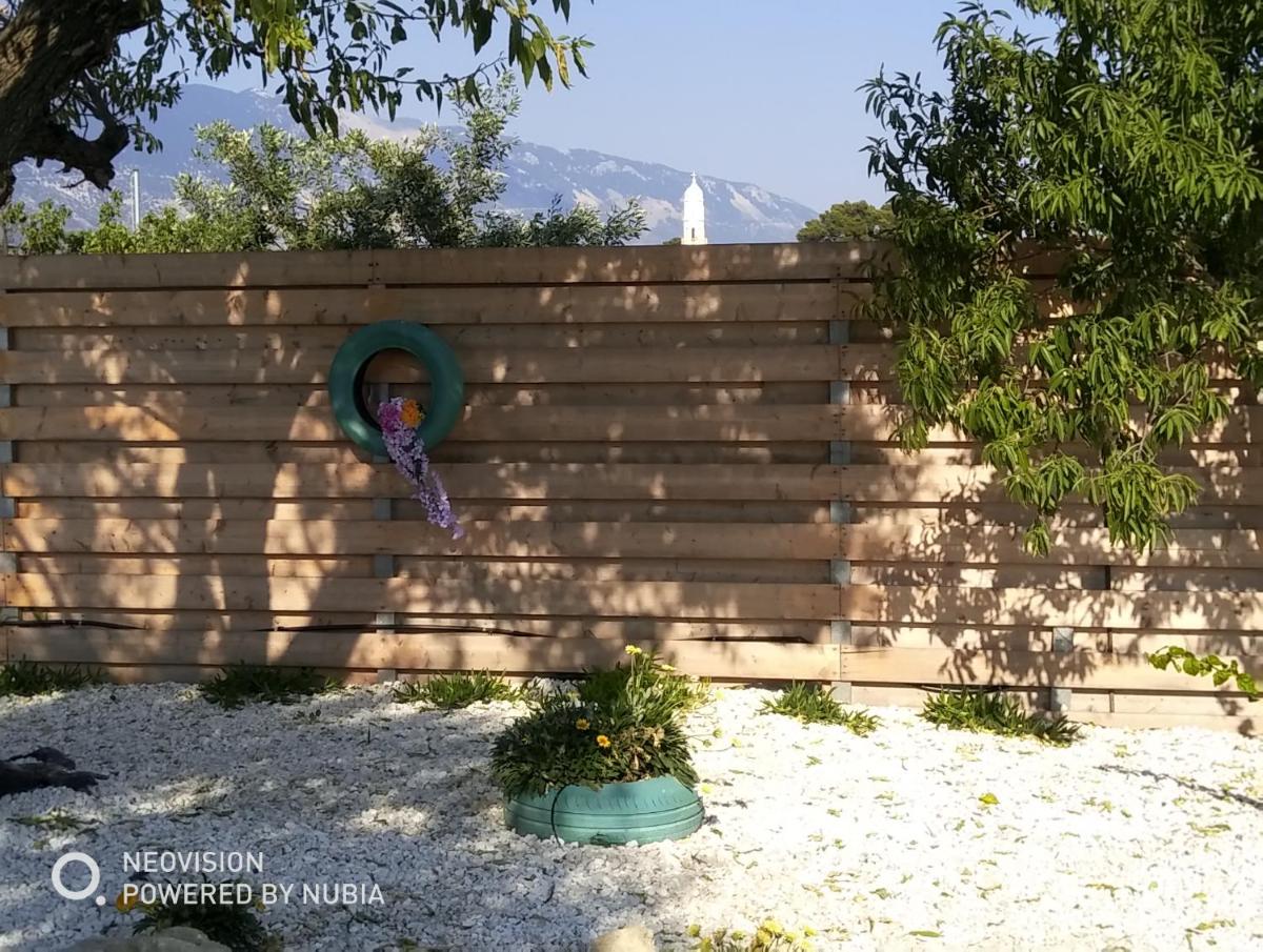 Elli's Paradise photo 5