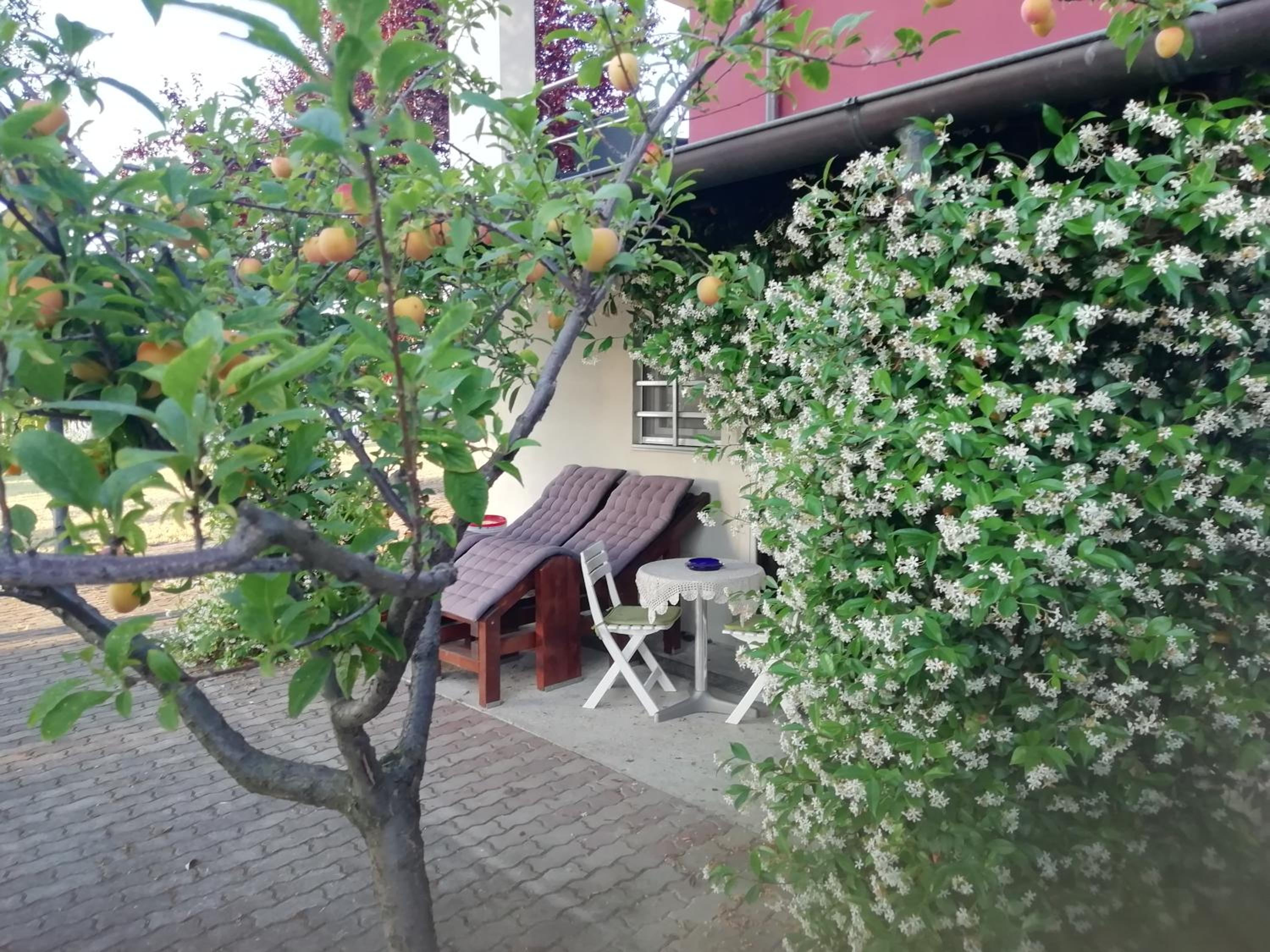 Photo 27